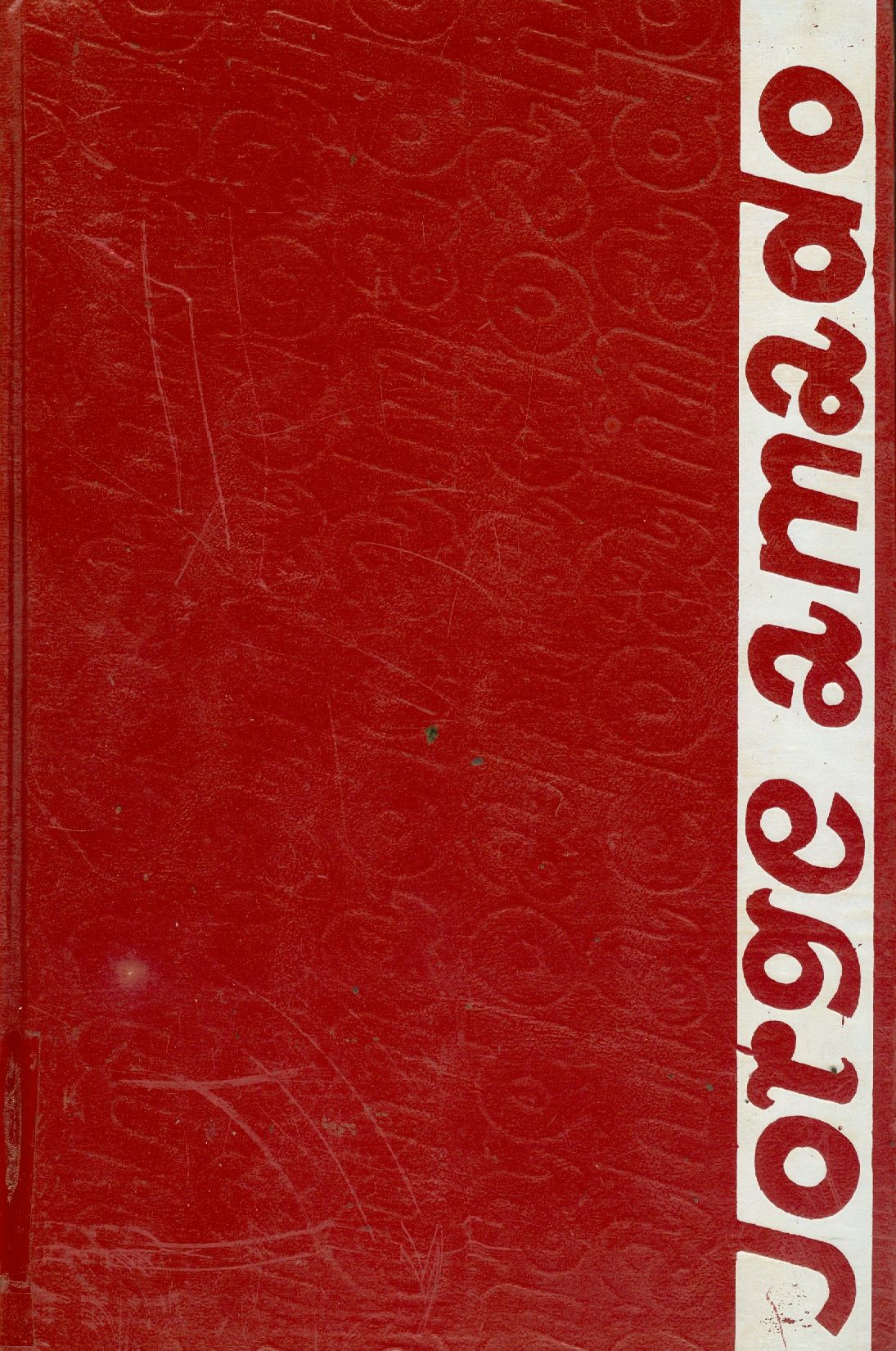 GABRIELA, CRAVO E CANELA 