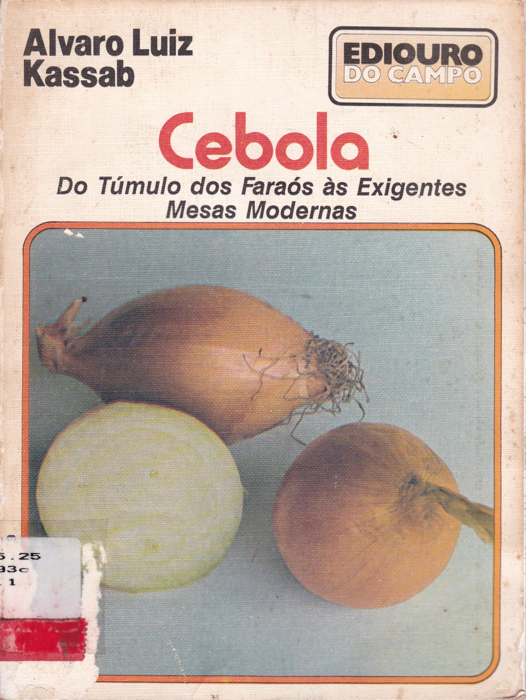 CEBOLA: DO TÚMULO DOS FARAÓS ÀS EXIGENTES MESAS MODERNAS