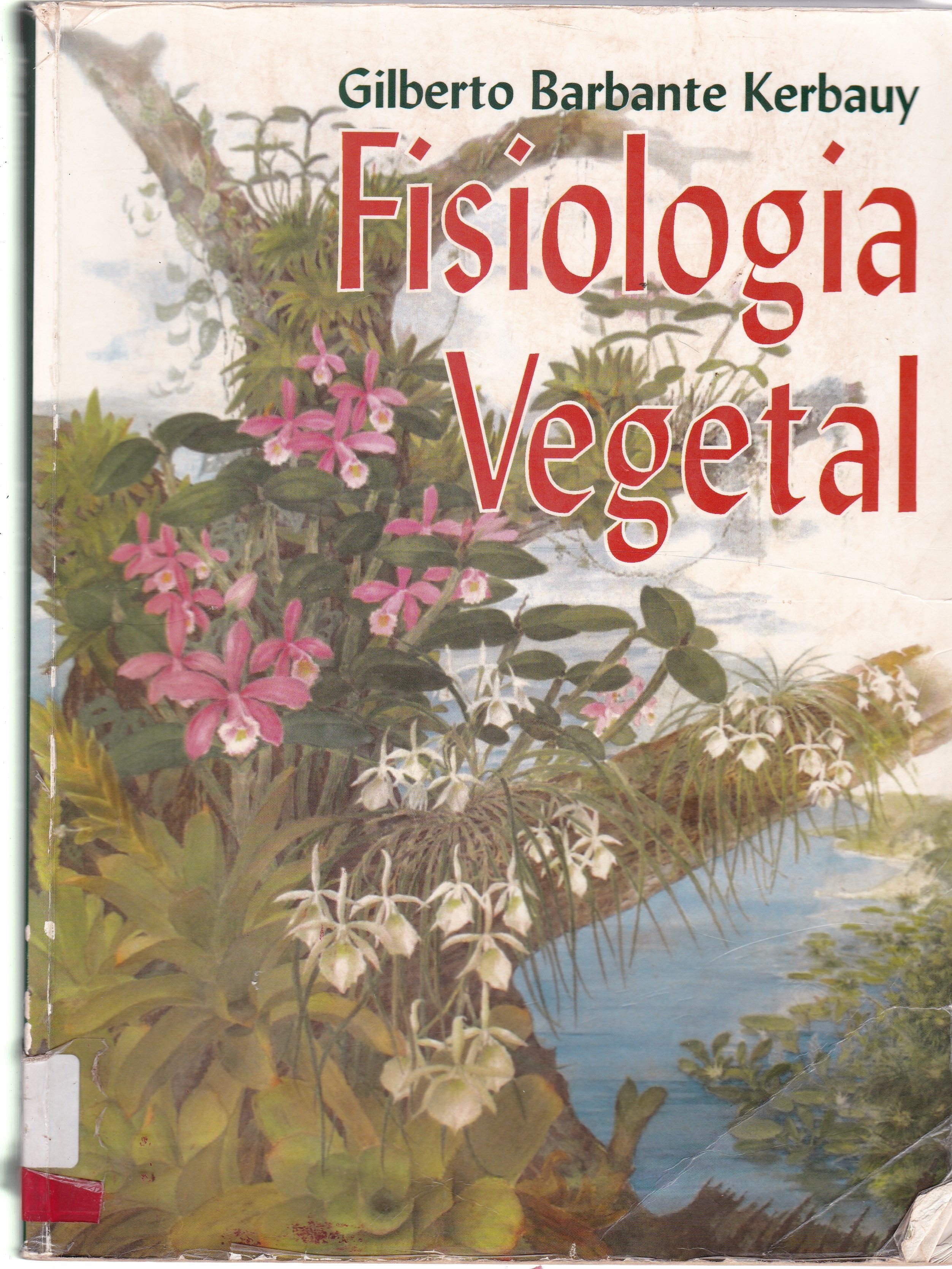 FISIOLOGIA VEGETAL