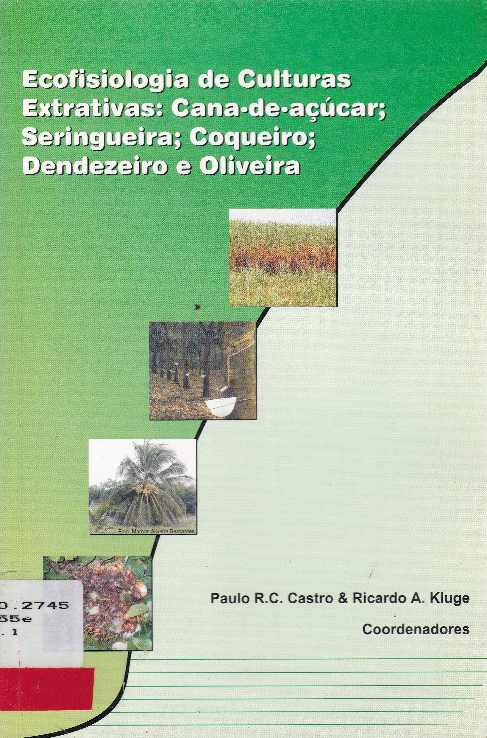 ECOFISIOLOGIA DE CULTURAS EXTRATIVAS: CANA-DE-AÇÚCAR, SERINGUEIRA, COQUEIRO, DENDEZEIRO E OLIVEIRA