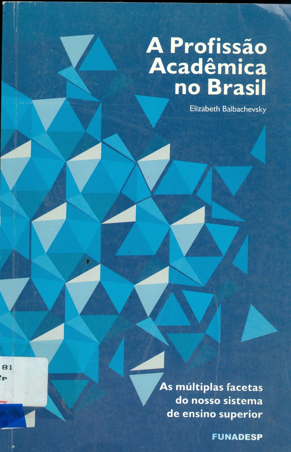 A PROFISSÃO ACADÊMICA NO BRASIL: A CONSTRUÇÃO DO PROJETO INSTITUCIONAL NO ENSINO SUPERIOR