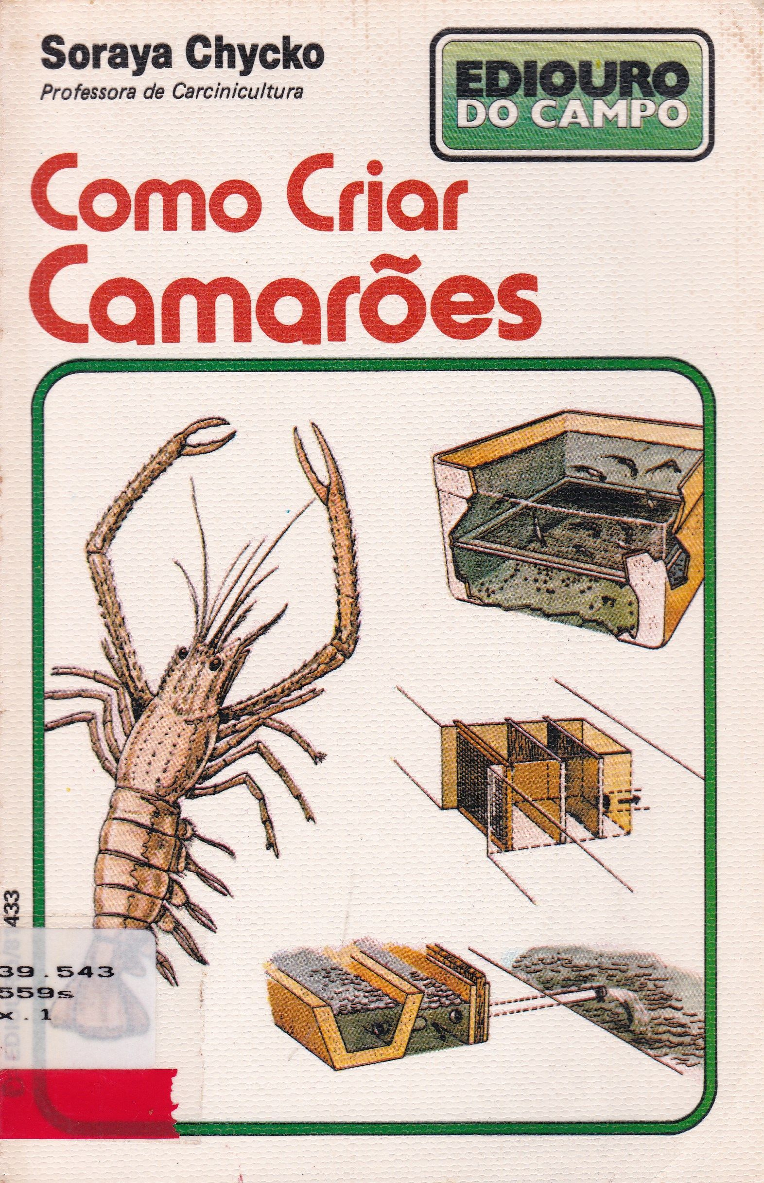 COMO CRIAR CAMARÕES