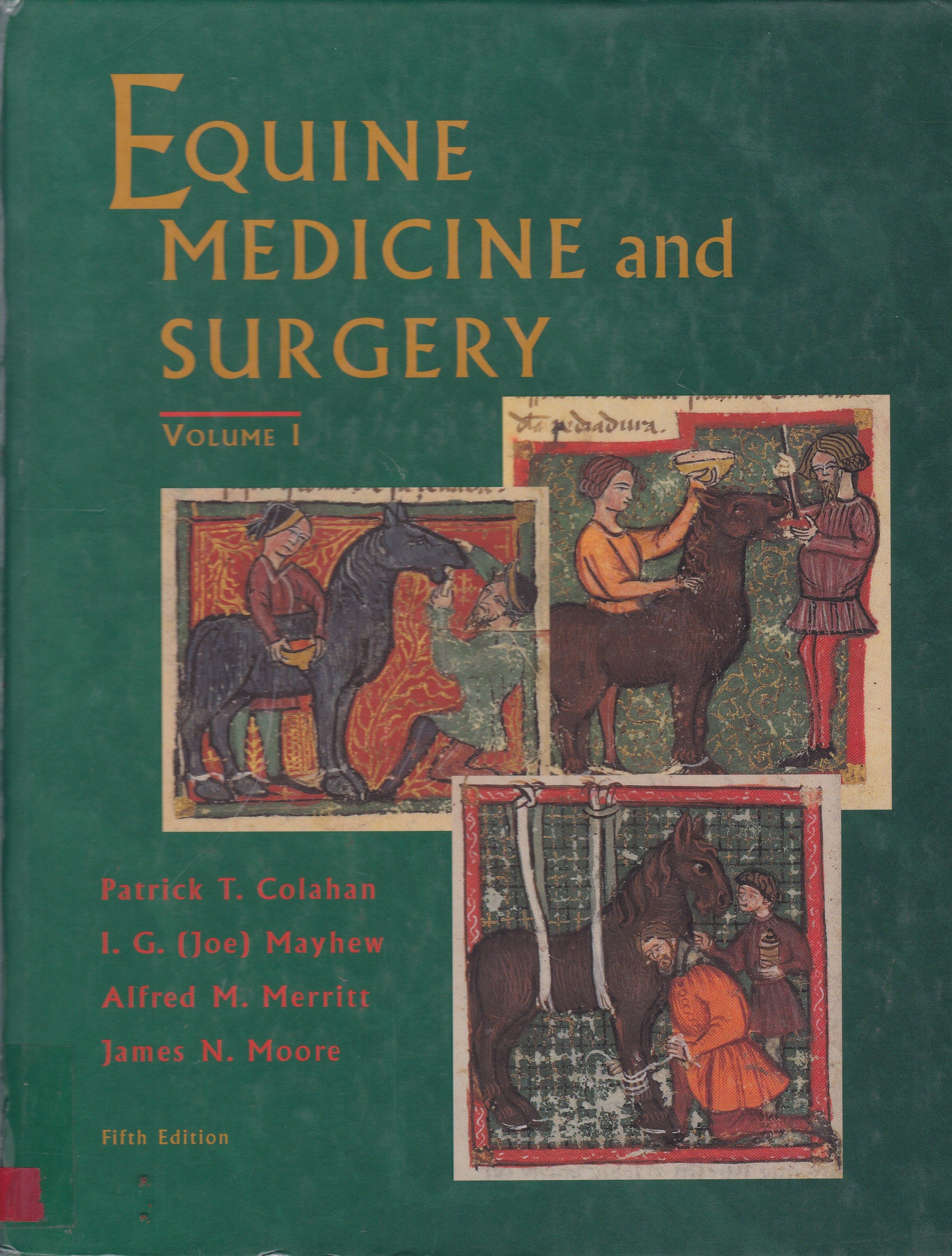 EQUINE MEDICINE AND SURGERY - V. 1 