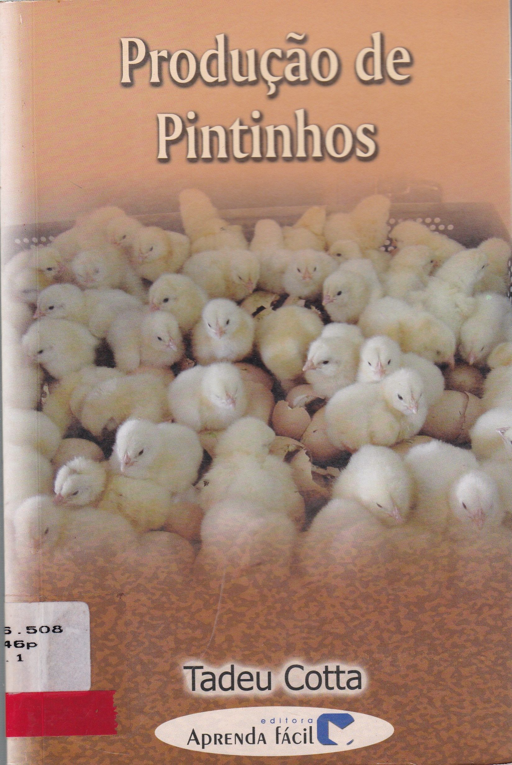 PRODUÇÃO DE PINTINHOS