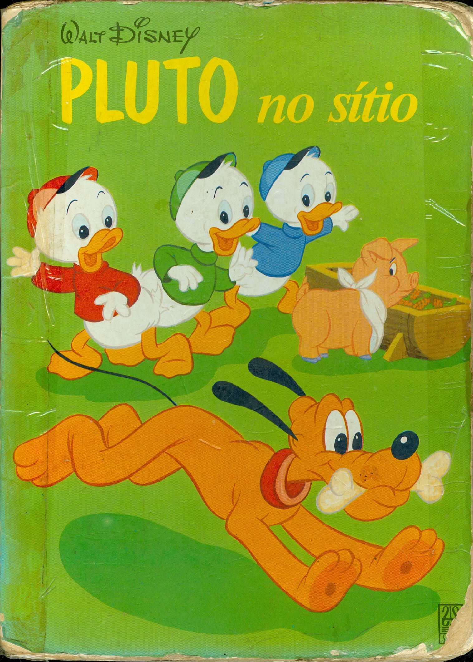 PLUTO NO SÍTIO