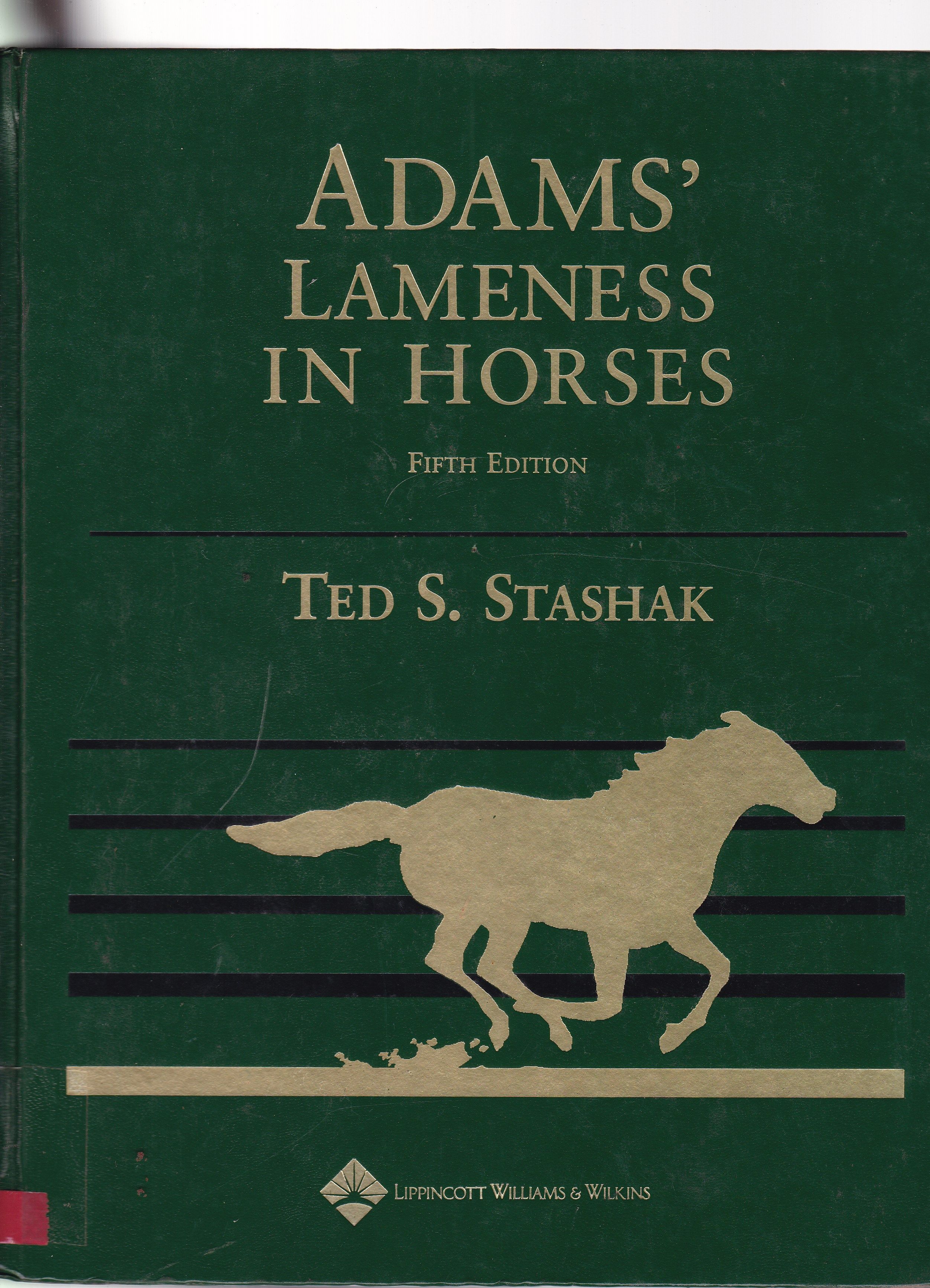 ADMS LAMENESS IN HORSES