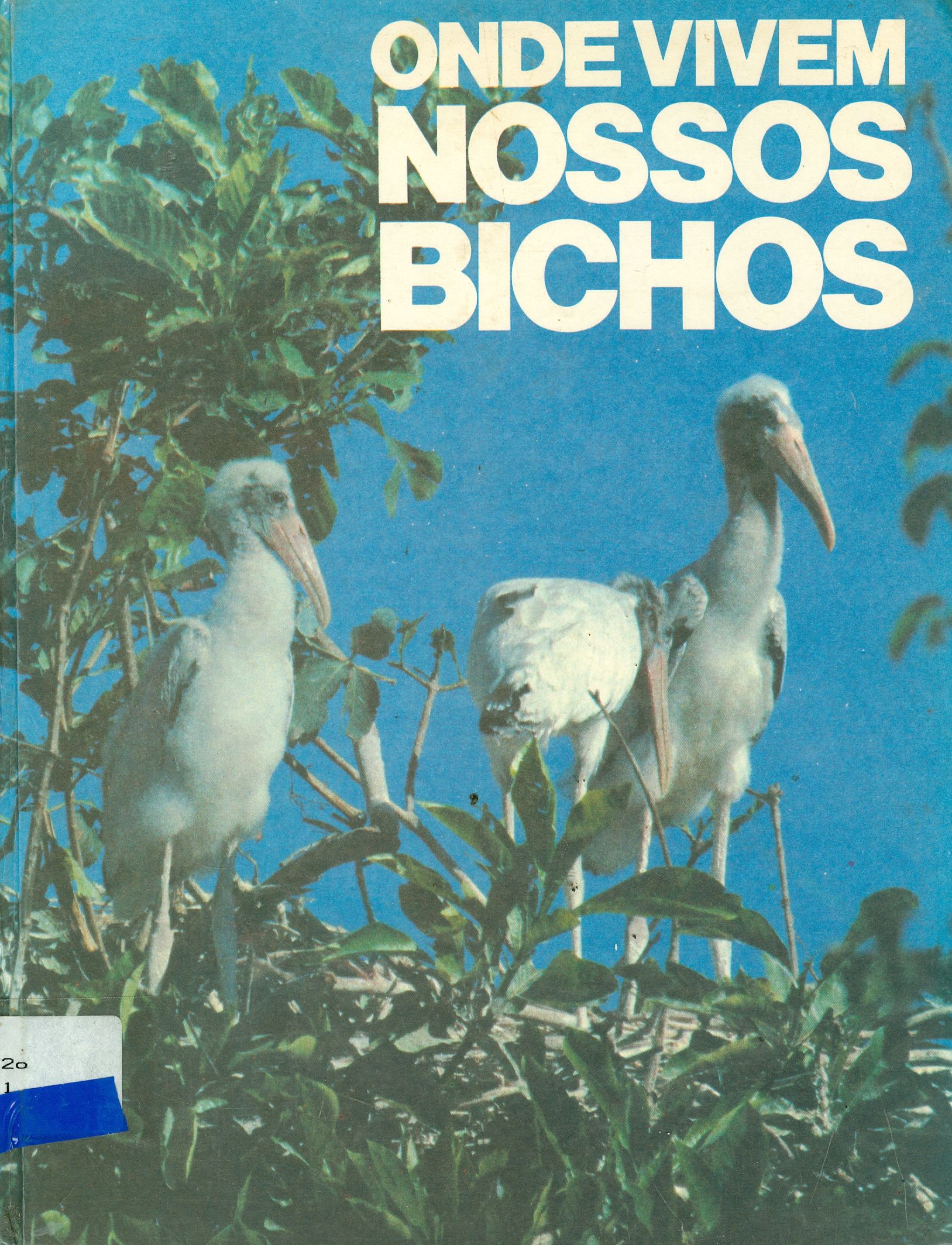 ONDE VIVEM NOSSOS BICHOS