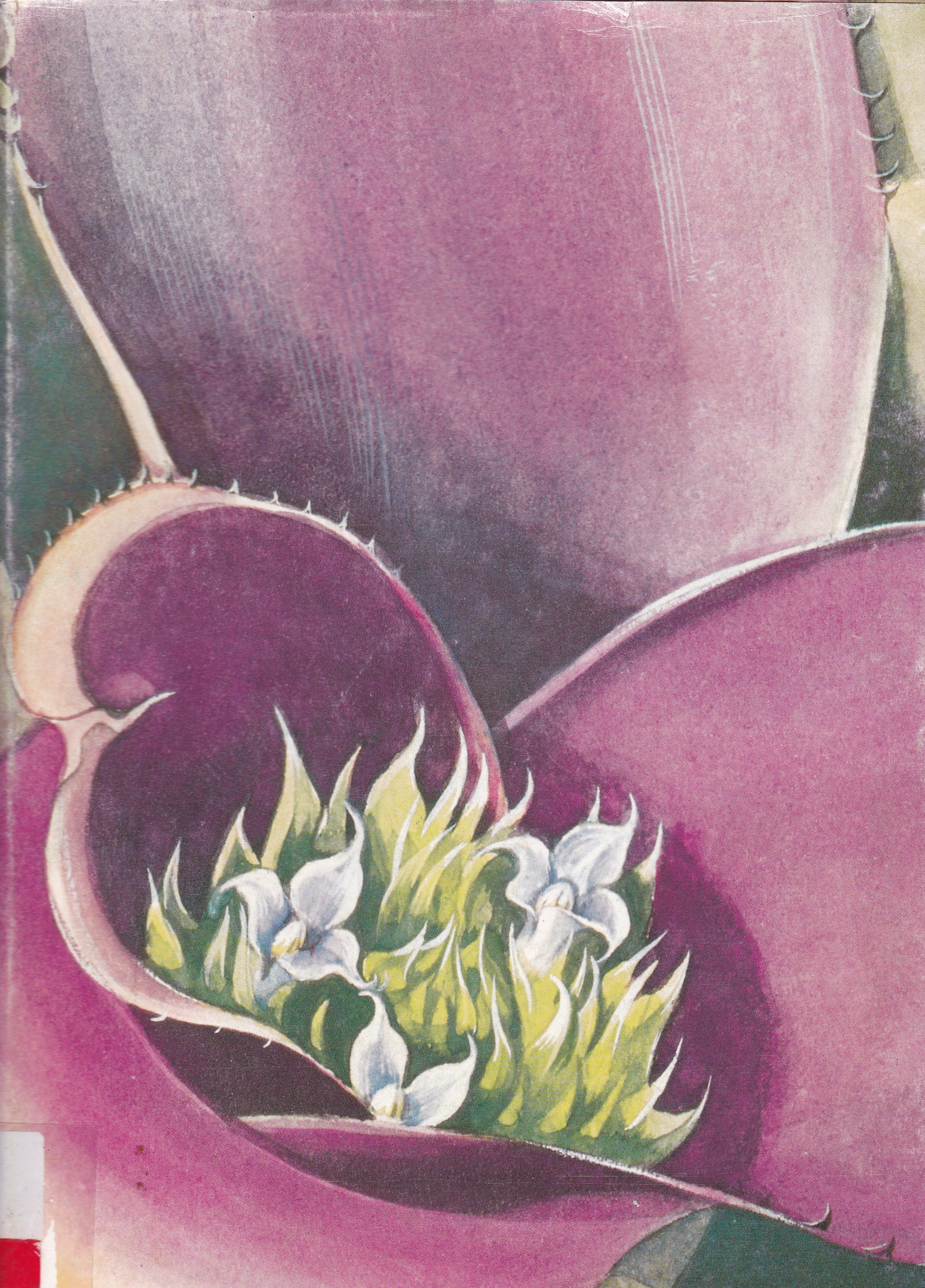 BROMÉLIAS BRASILEIRAS: AQUARELAS DE MARGARET MEE
