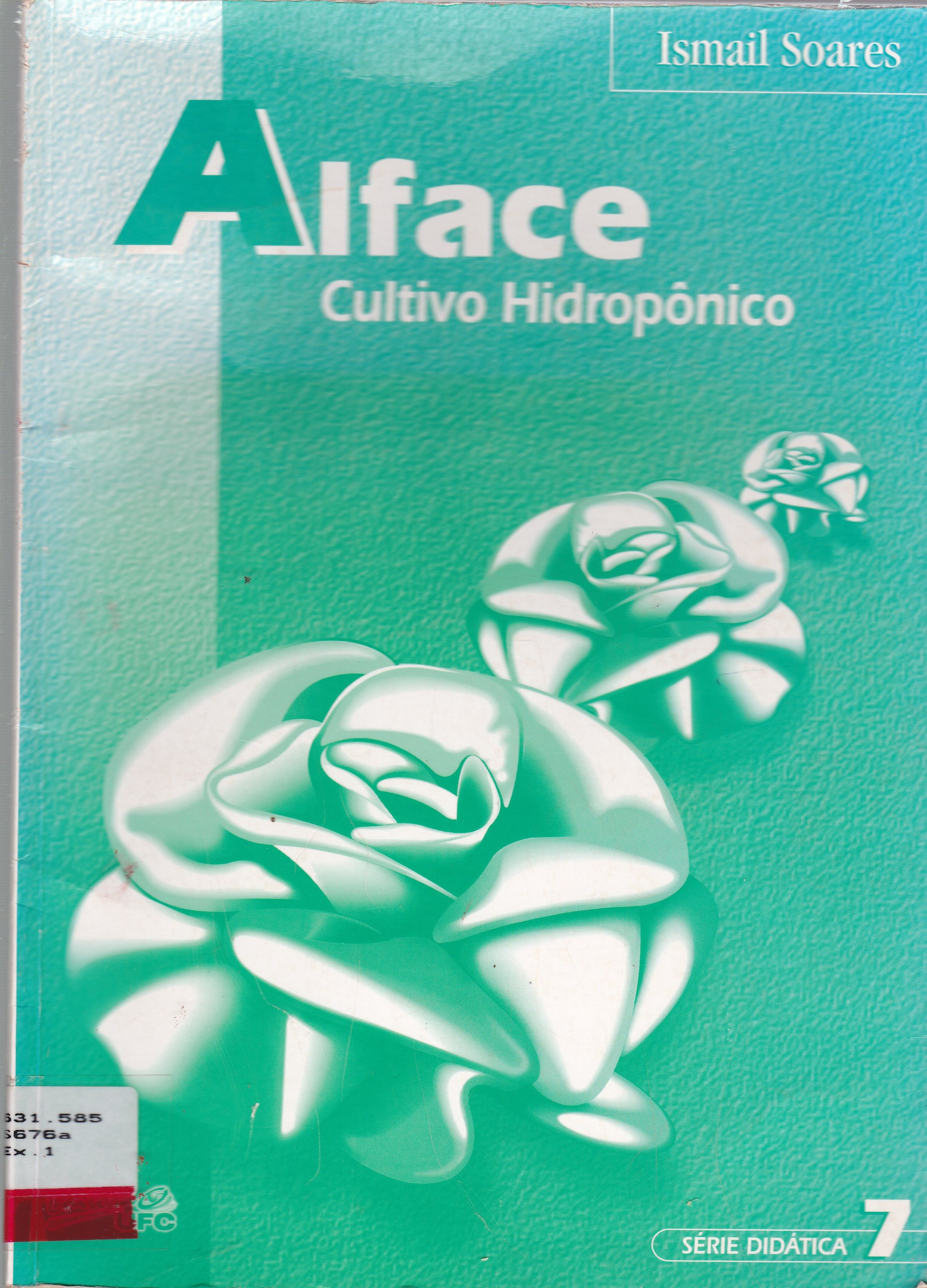 ALFACE: CULTIVO HIDROPÔNICO