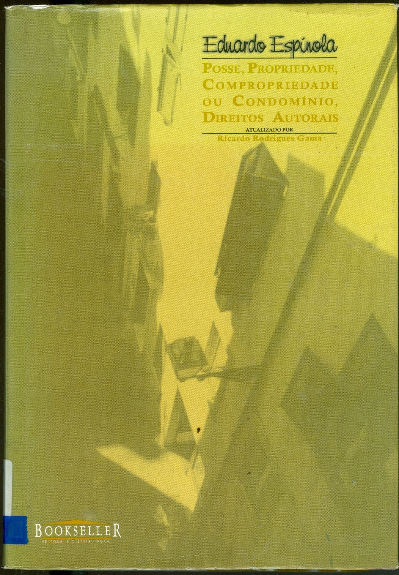 POSSE, PROPRIEDADE, COMPRIEDADE OU CONDOMÍNIO, DIREITOS AUTORIAIS
