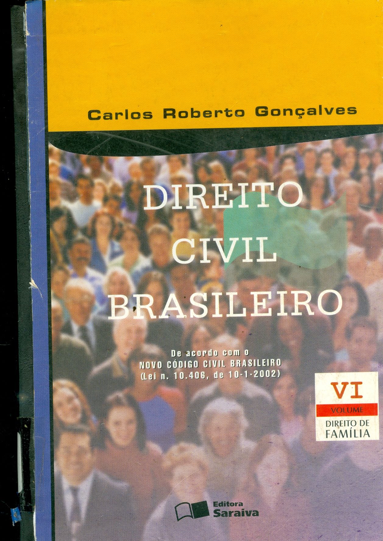 DIREITO CIVIL BRASILEIRO: DIREITO DE FAMÍLIA - V. VI