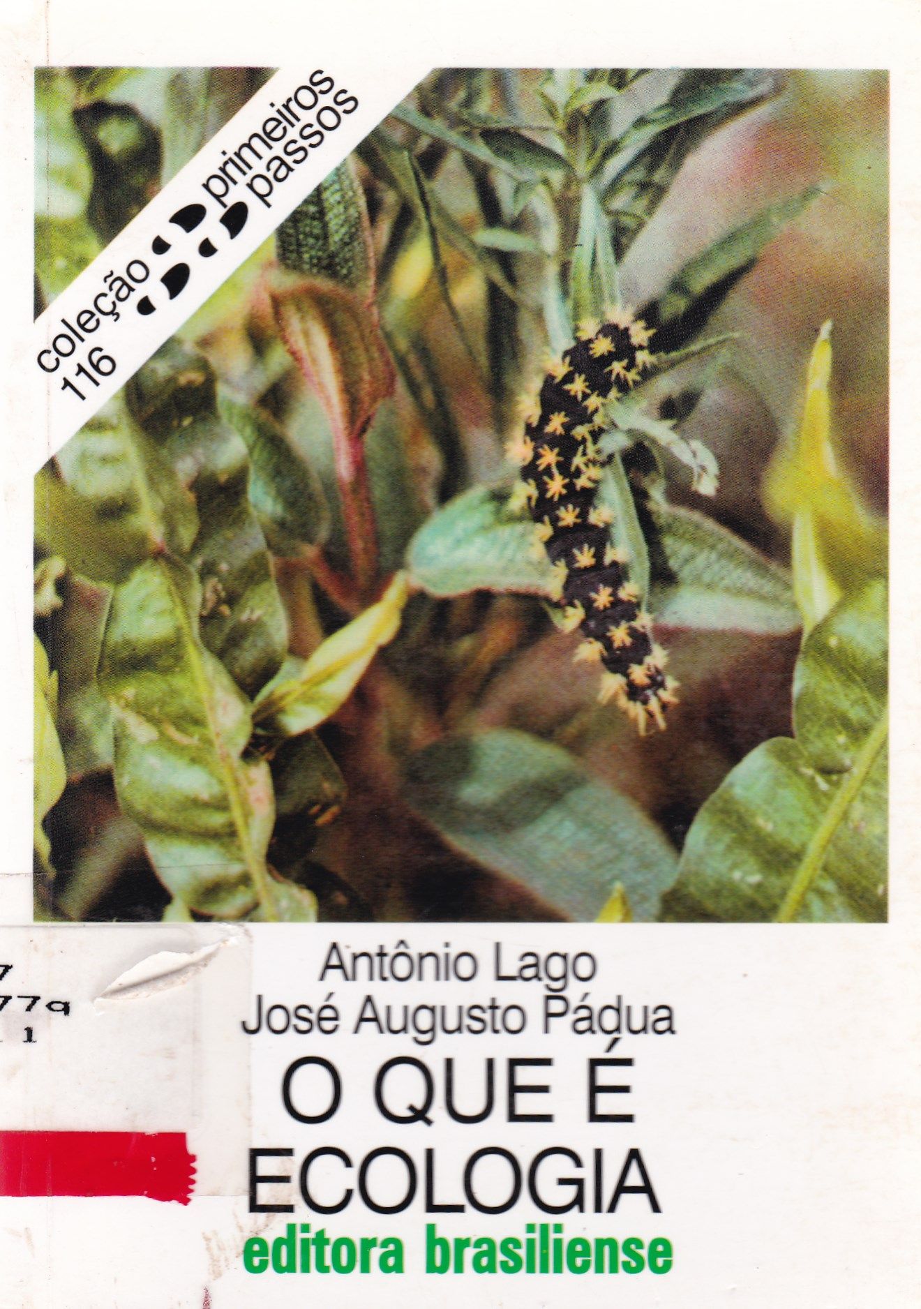 O QUE É ECOLOGIA