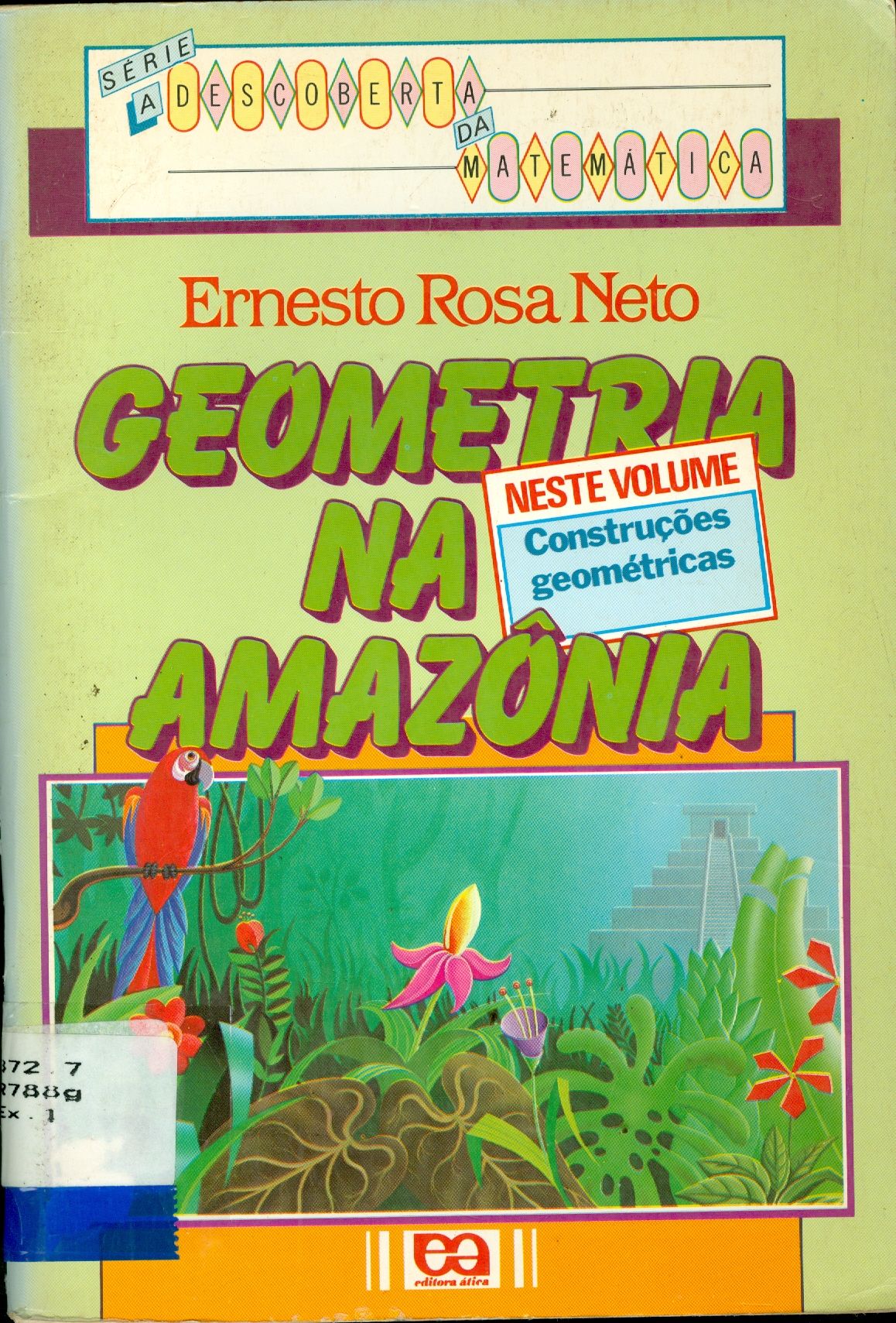 GEOMETRIA NA AMAZÔNIA