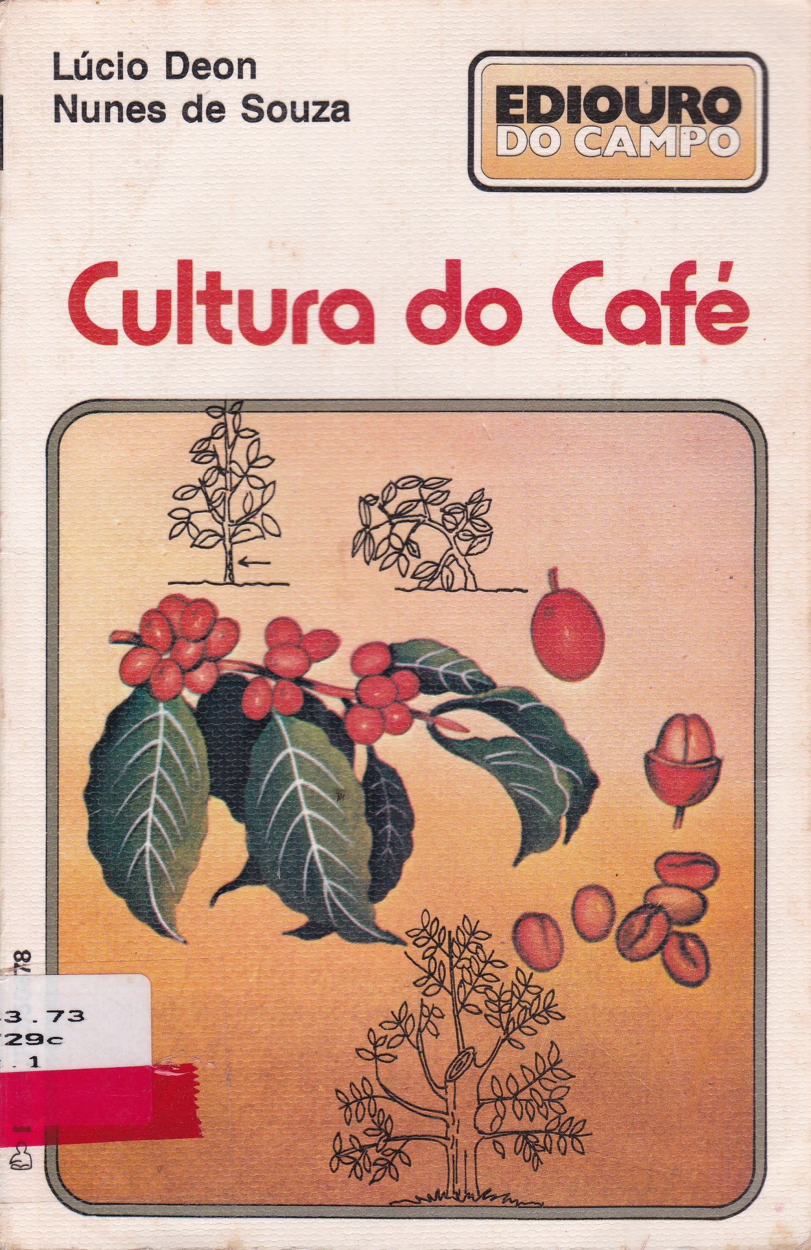 CULTURA DO CAFÉ