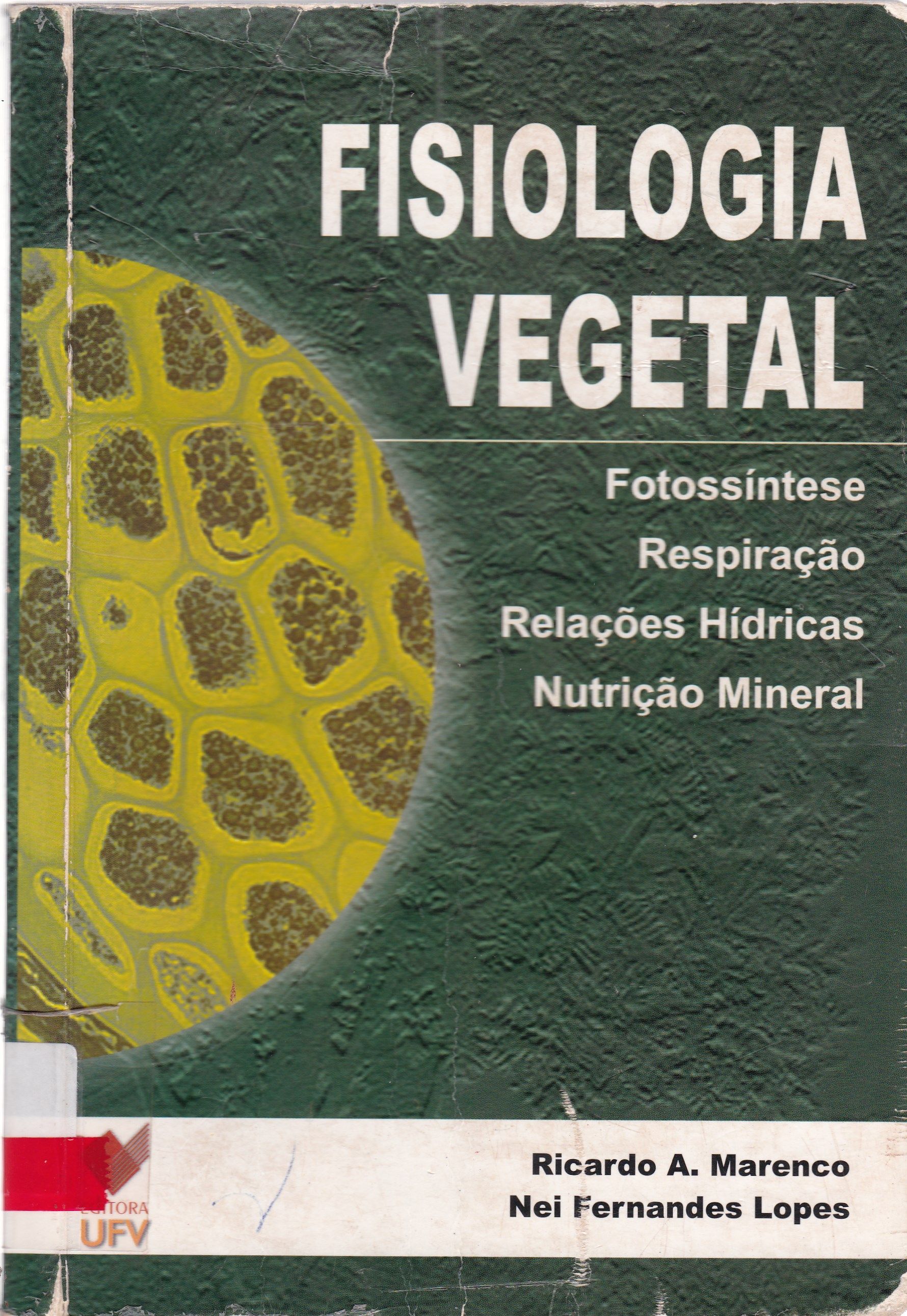 FISIOLOGIA VEGETAL: FOTOSSÍNTESE, RESPIRAÇÃO, RELAÇÕES HÍDRICAS E NUTRIÇÃO MINERAL
