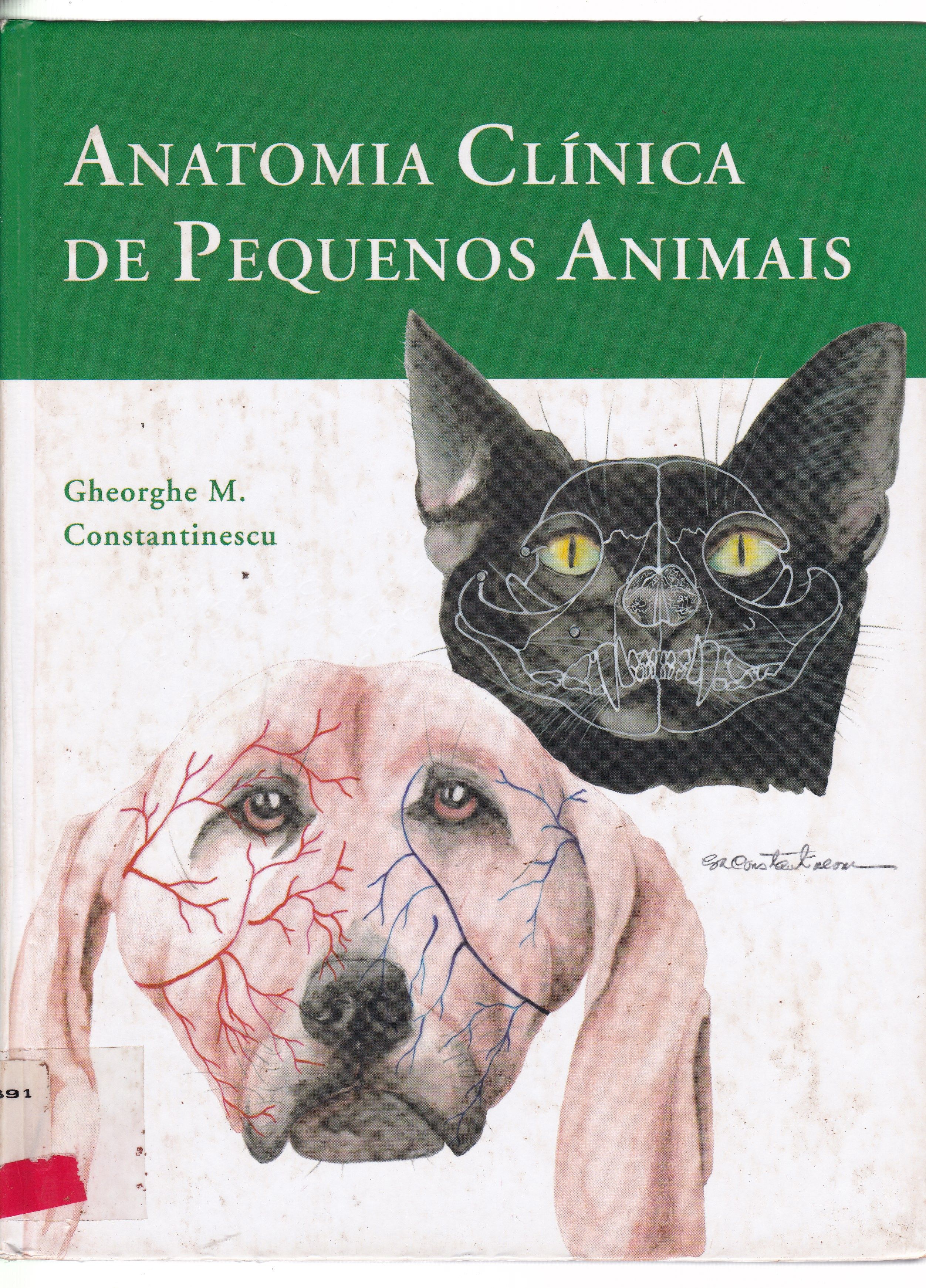 ANATOMIA CLÍNICA DE PEQUENOS ANIMAIS