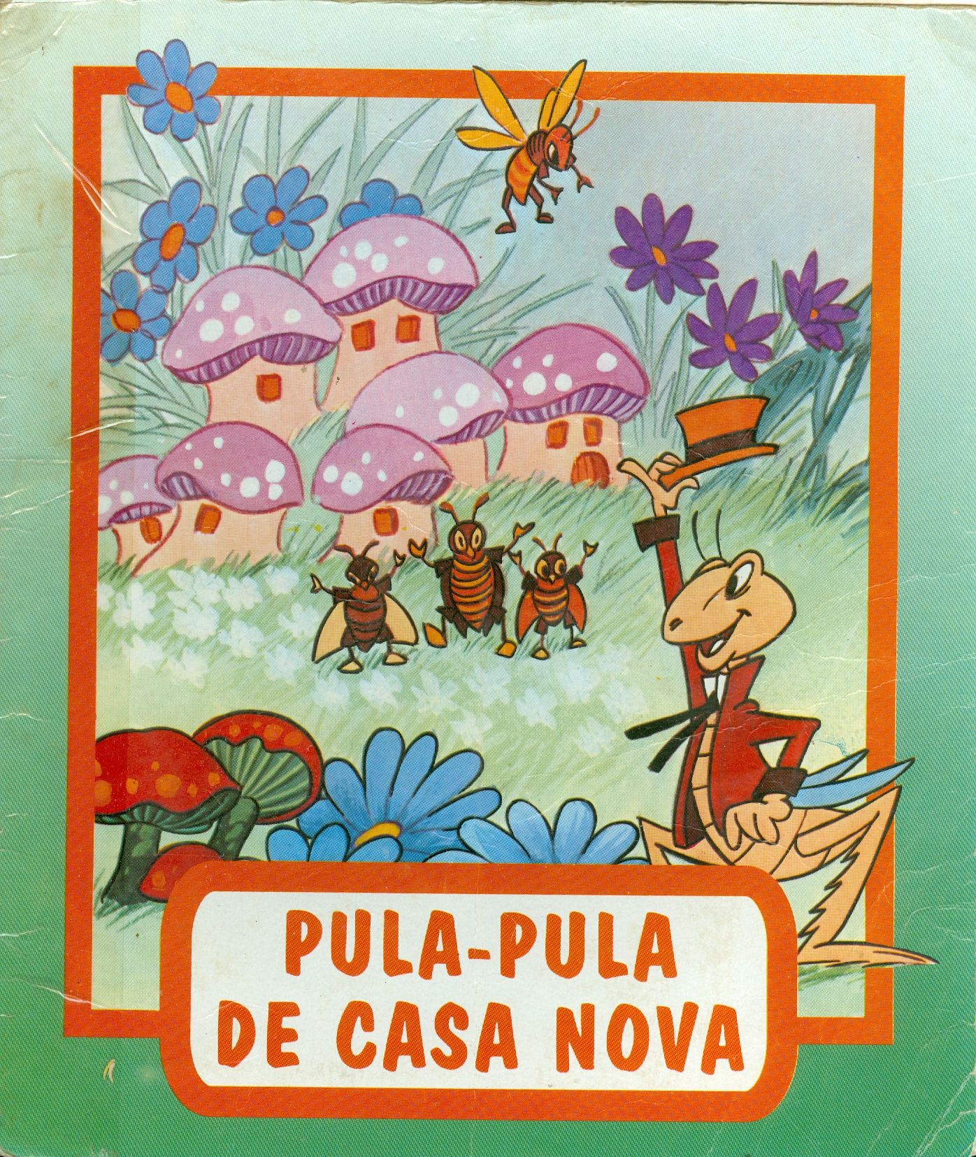 PULA-PULA DE CASA NOVA