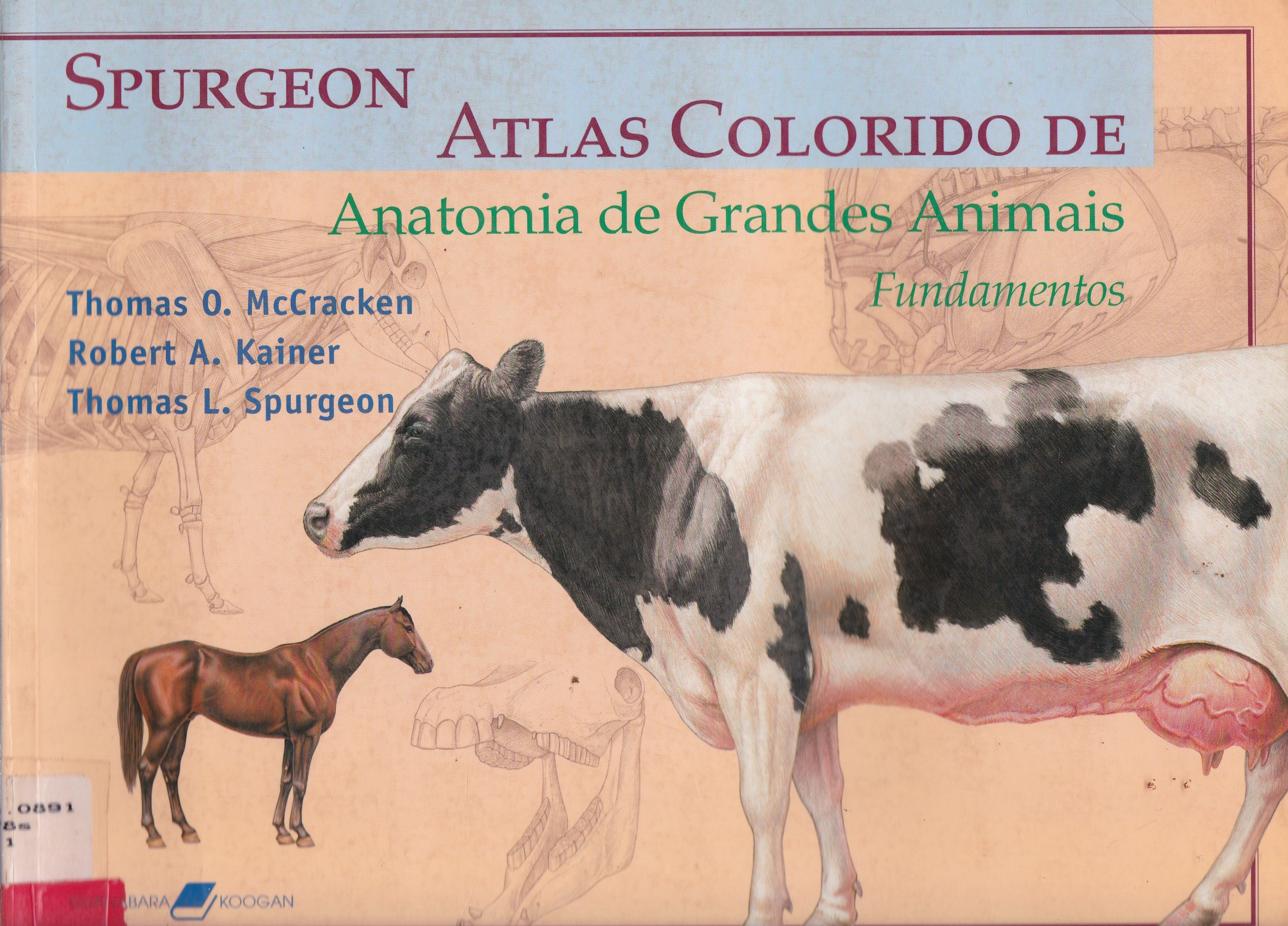 SPURGEON ATLAS COLORIDO DE ANATOMIA DE GRANDES ANIMAIS: FUNDAMENTOS