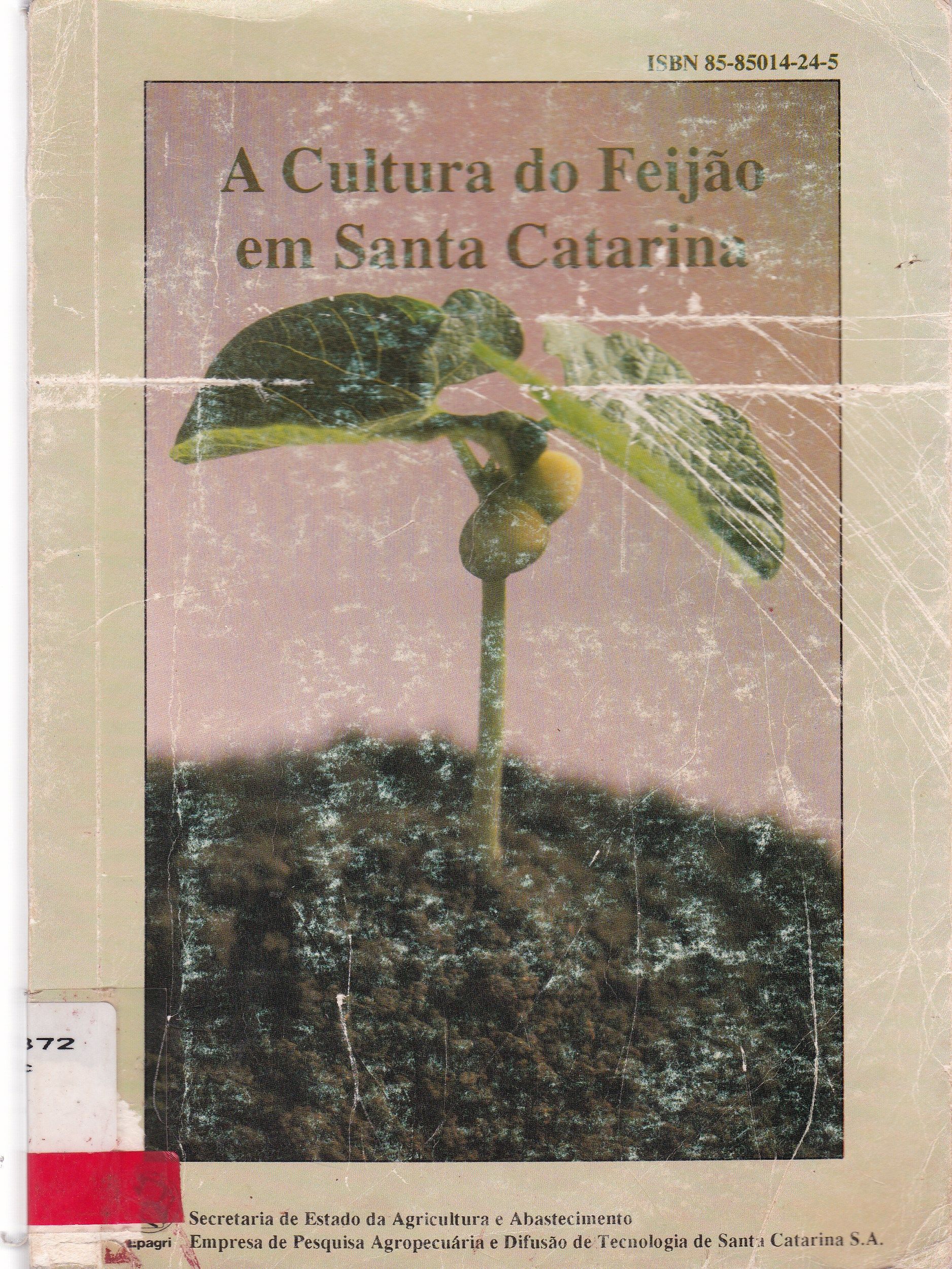 A CULTURA DO FEIJÃO EM SANTA CATARINA