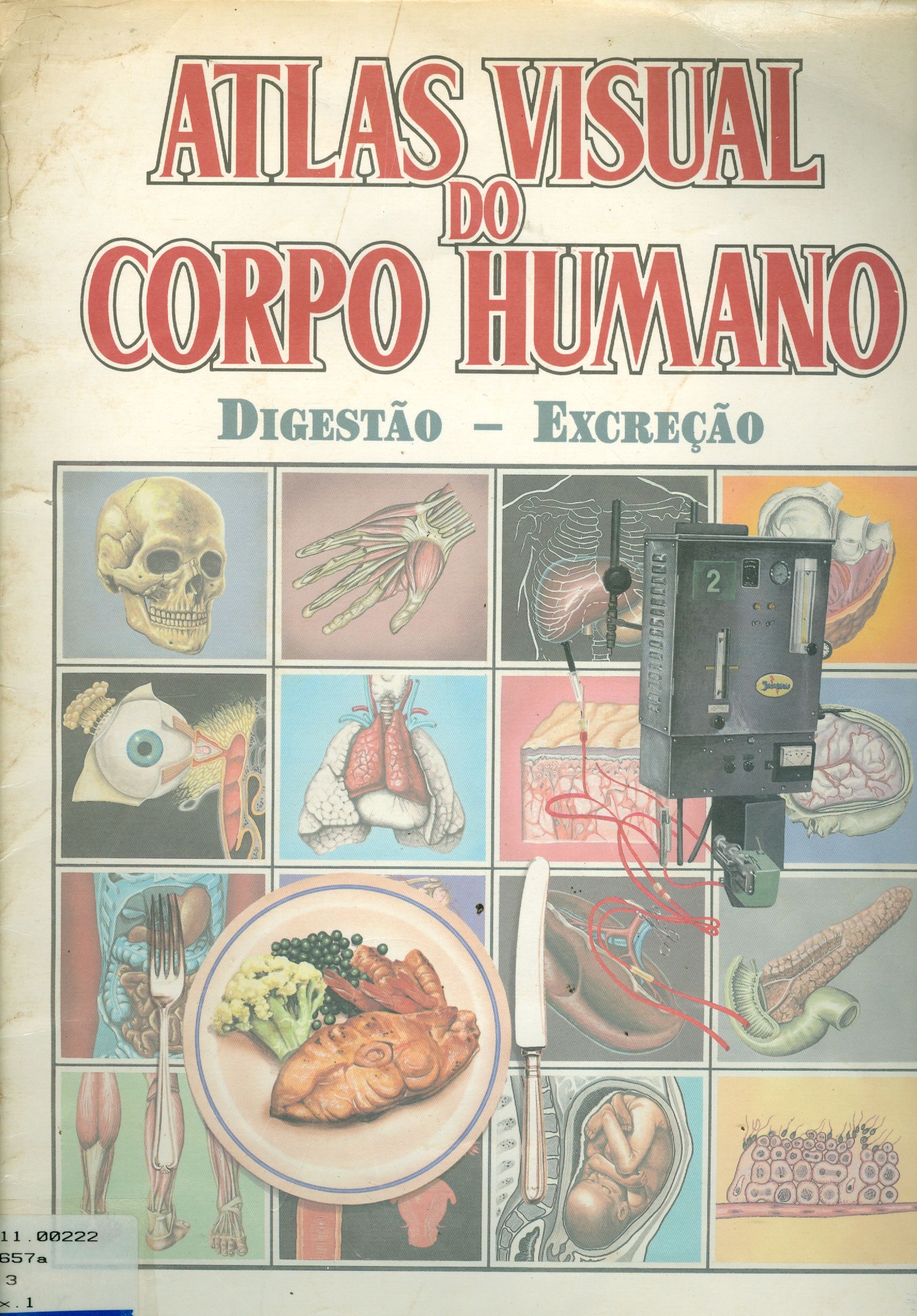 ATLAS VISUAL DO CORPO HUMANO: SISTEMA DIGESTIVO E EXCRECÃO