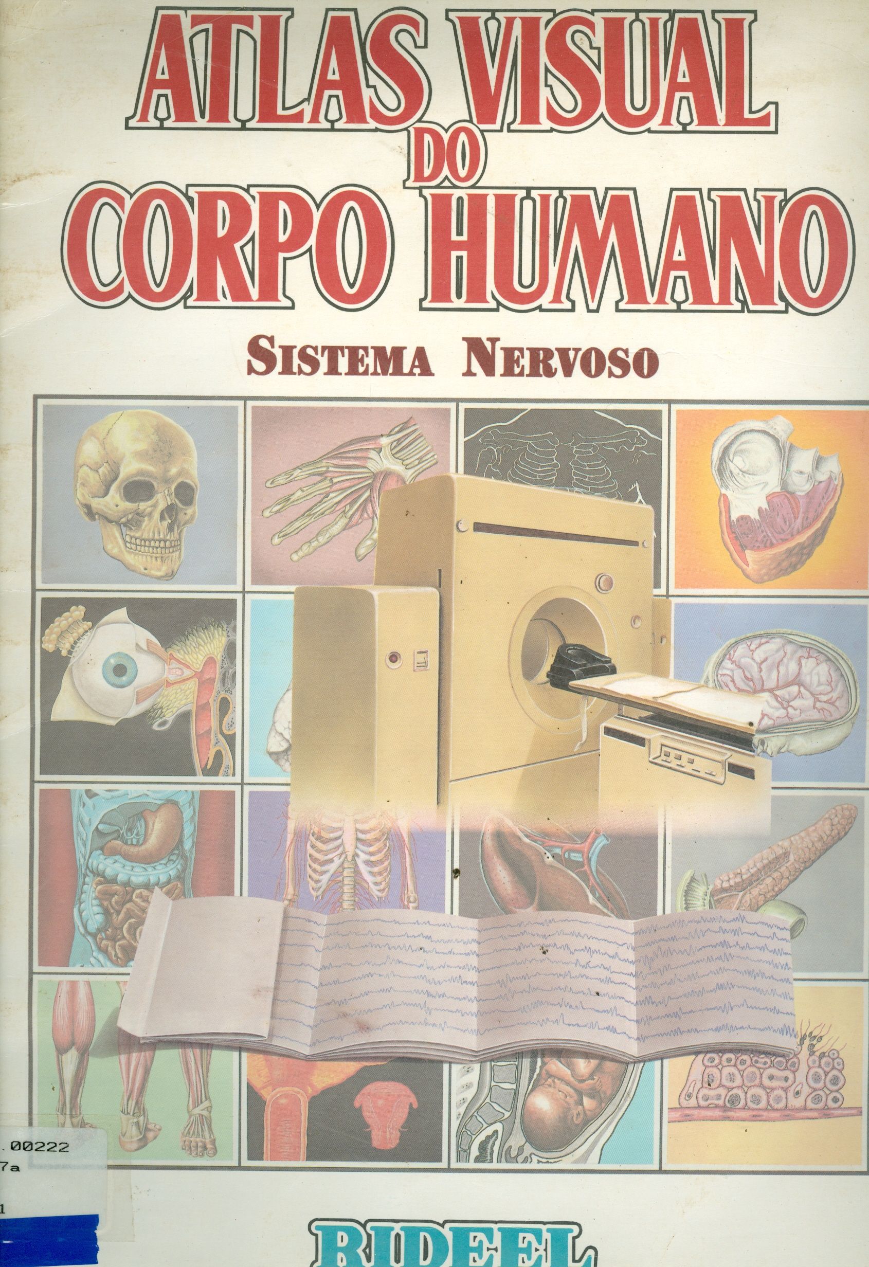 ATLAS VISUAL DO CORPO HUMANO: SISTEMA NERVOSO