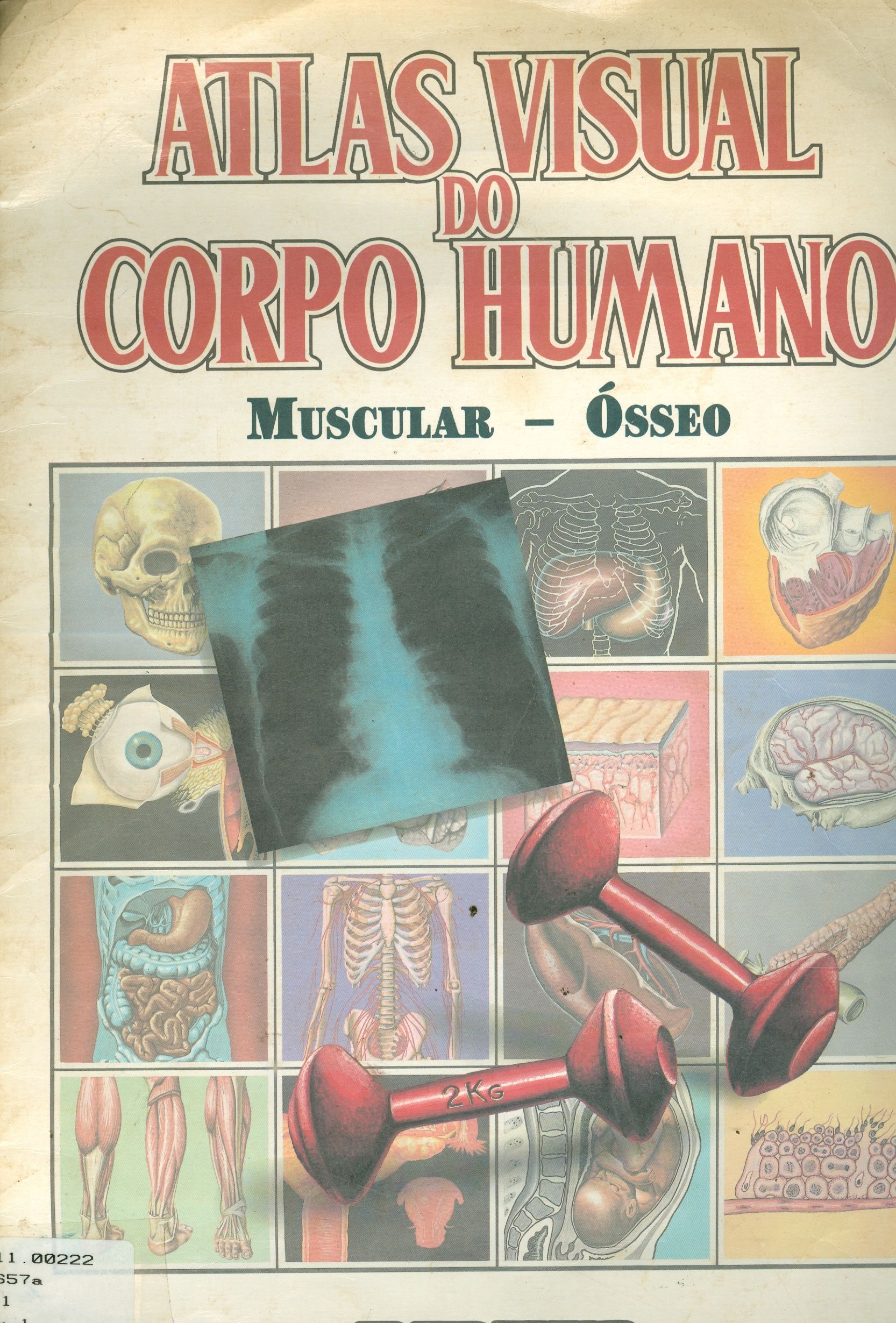 ATLAS VISUAL DO CORPO HUMANO: SISTEMA ESQUELÉTICO E MUSCULAR