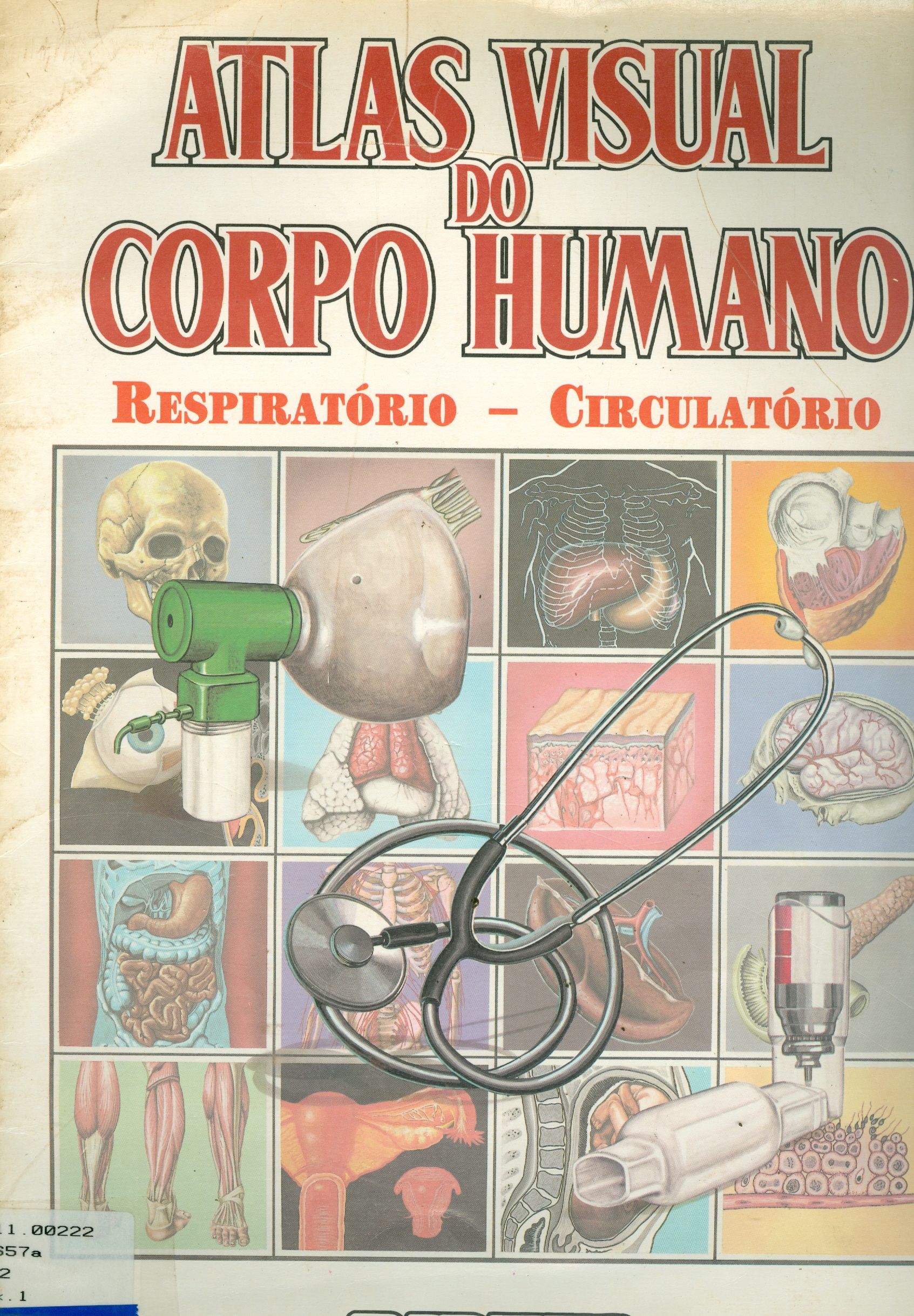 ATLAS VISUAL DO CORPO HUMANO: SISTEMA RESPIRATÓRIO E CIRCULATÓRIO