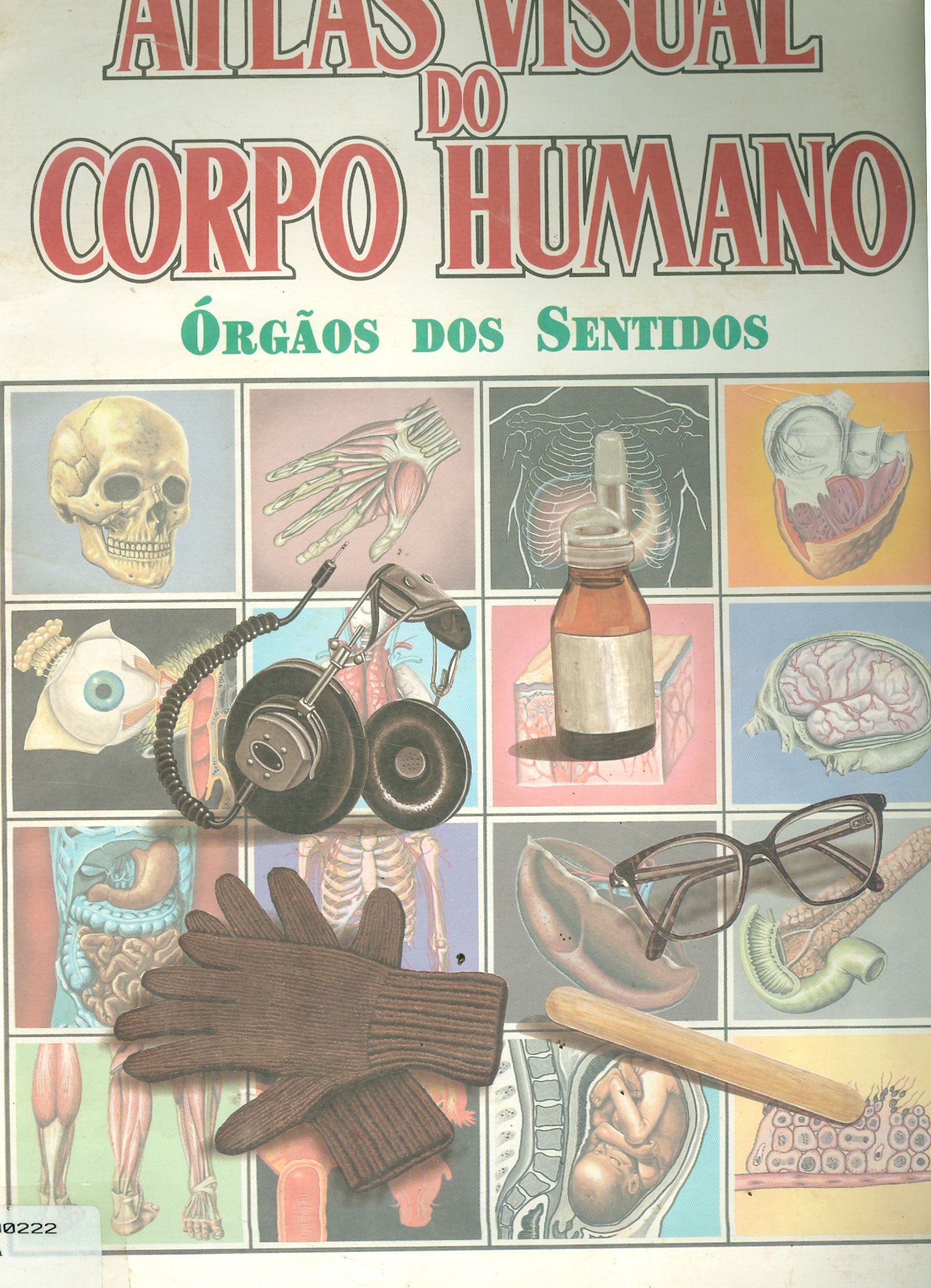 ATLAS VISUAL DO CORPO HUMANO: ÓRGÃOS DOS SENTIDOS
