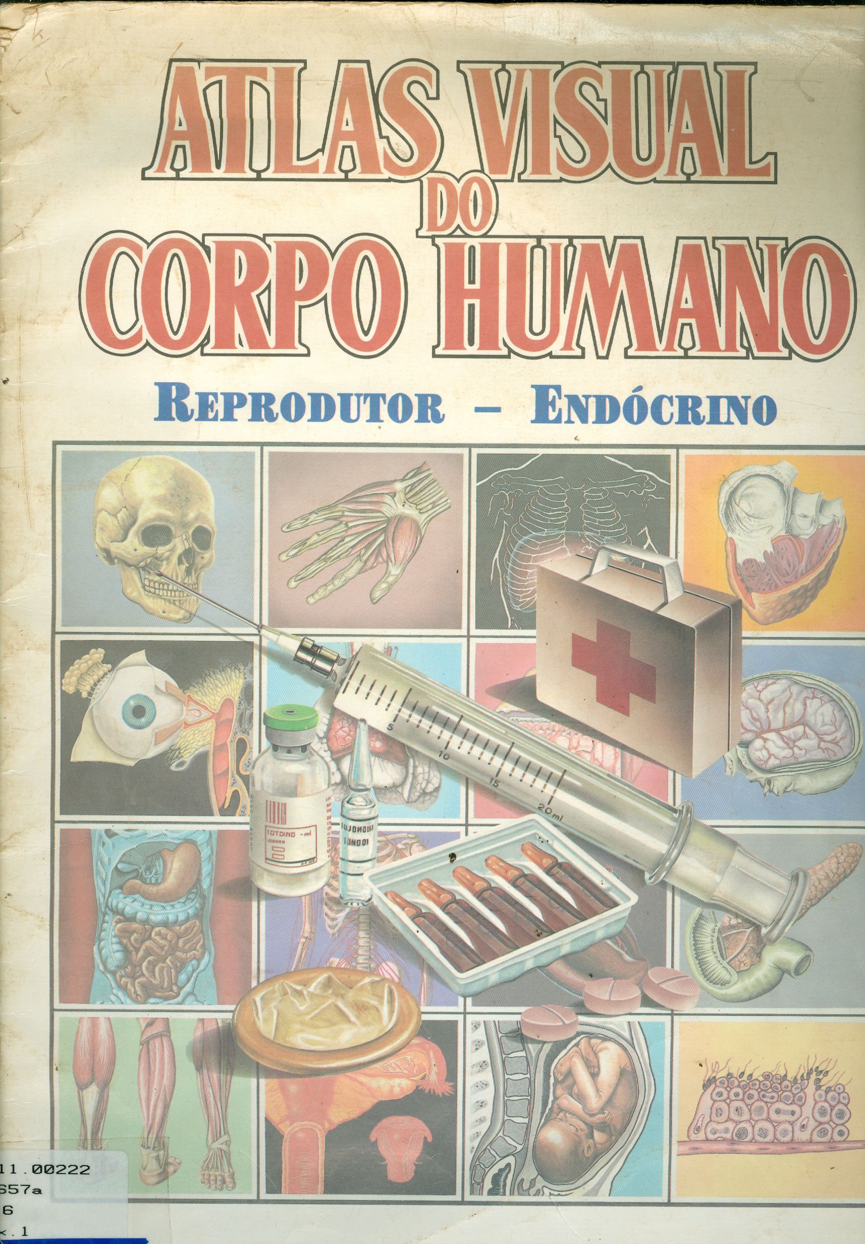 ATLAS VISUAL DO CORPO HUMANO: SISTEMA REPRODUTOR E ENDÓCRINO
