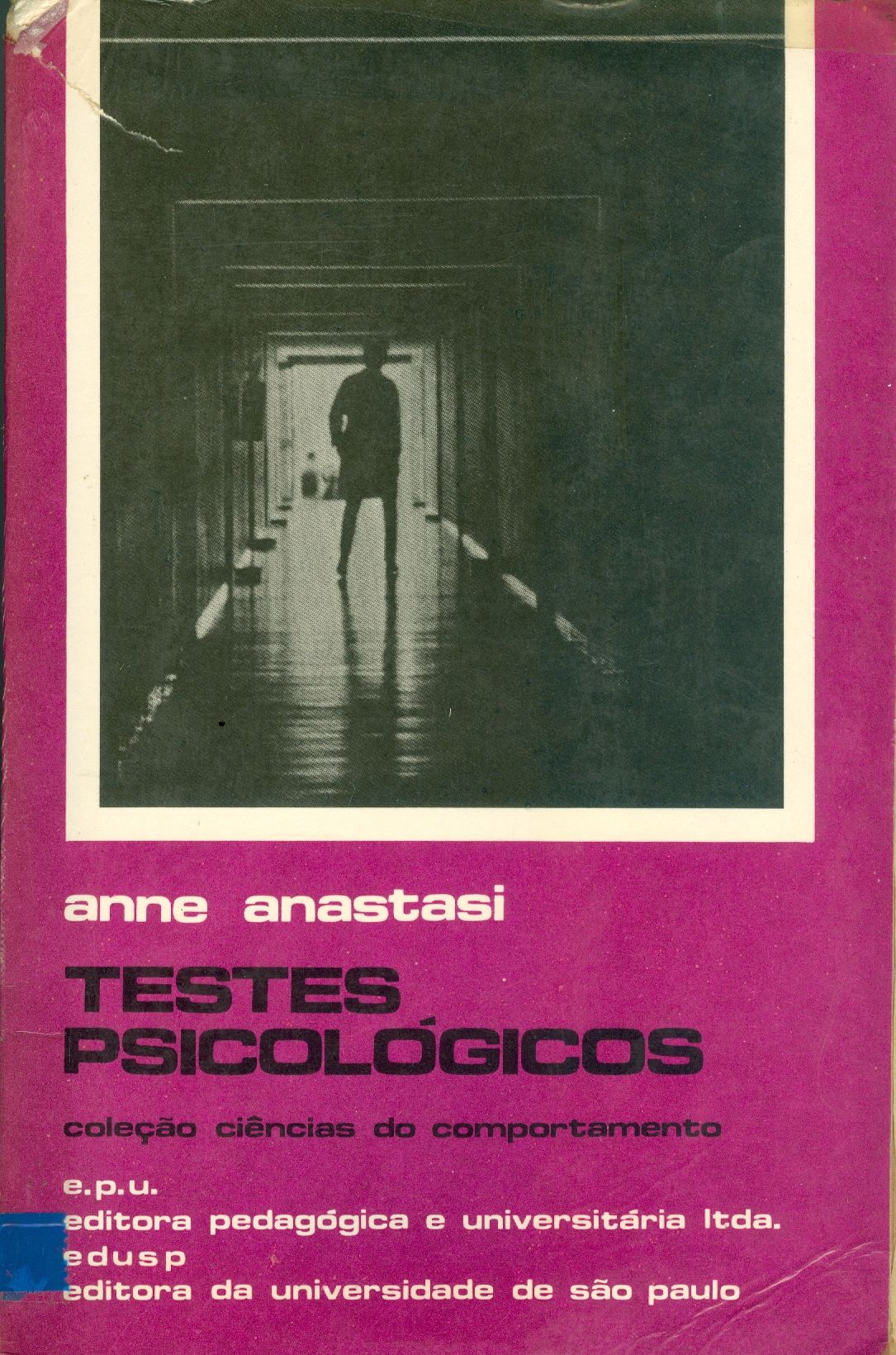 TESTES PSICOLÓGICOS: TEORIA E APLICAÇÃO