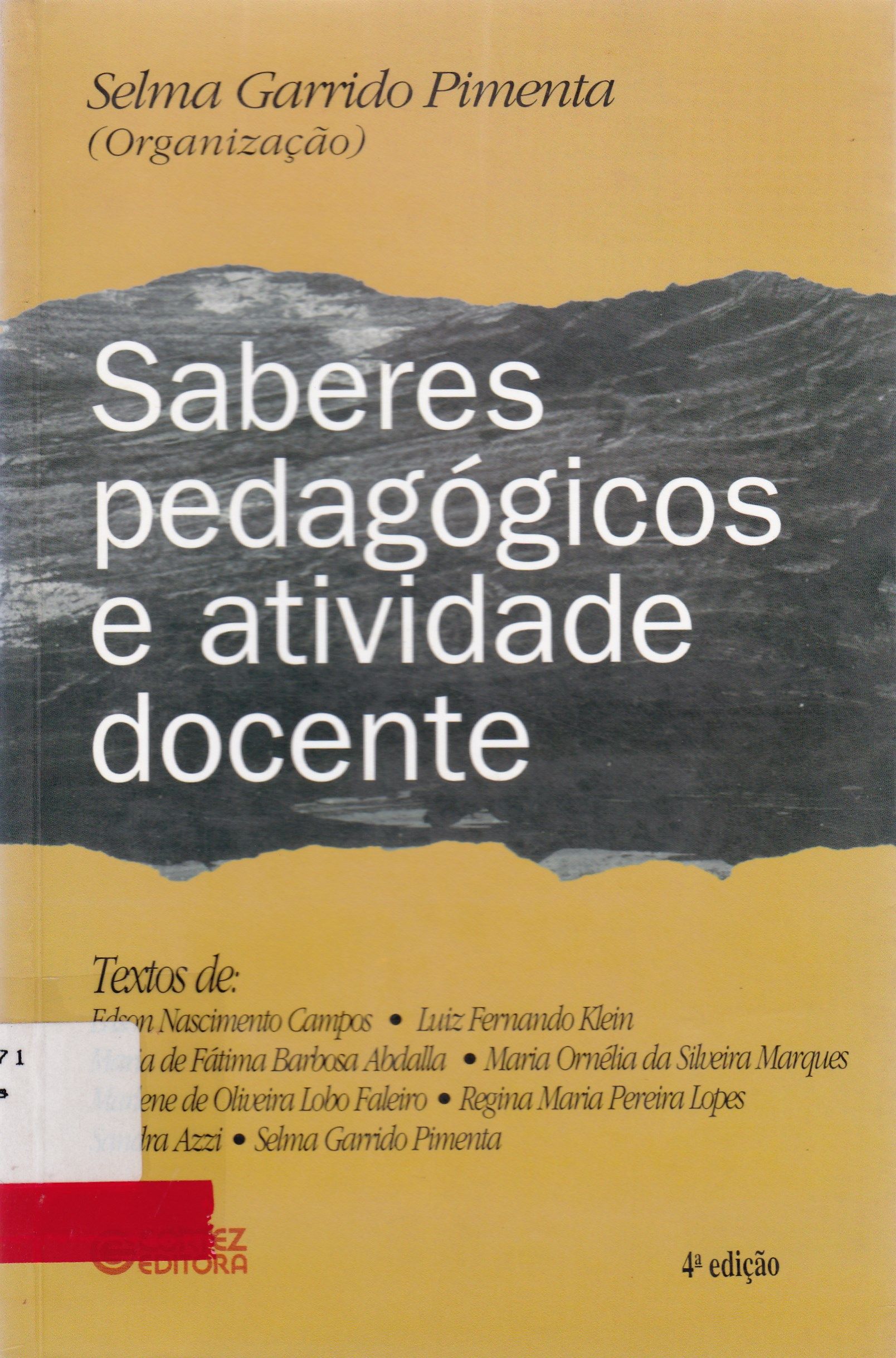SABERES PEDAGÓGICOS E ATIVIDADE DOCENTE