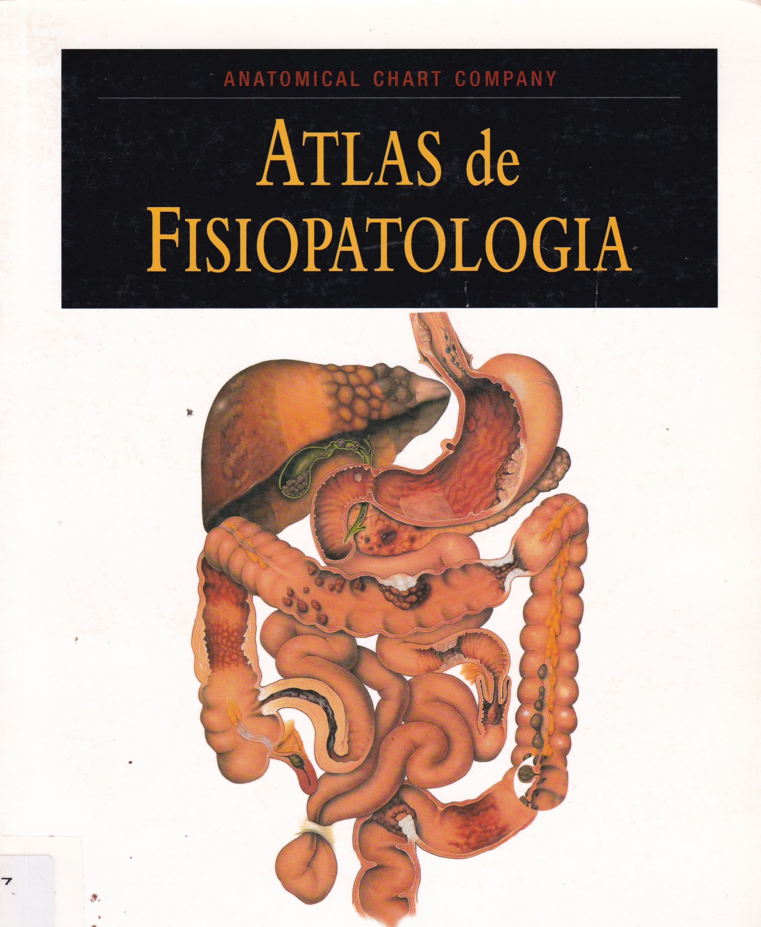 ATLAS DE FISIOPATOLOGIA