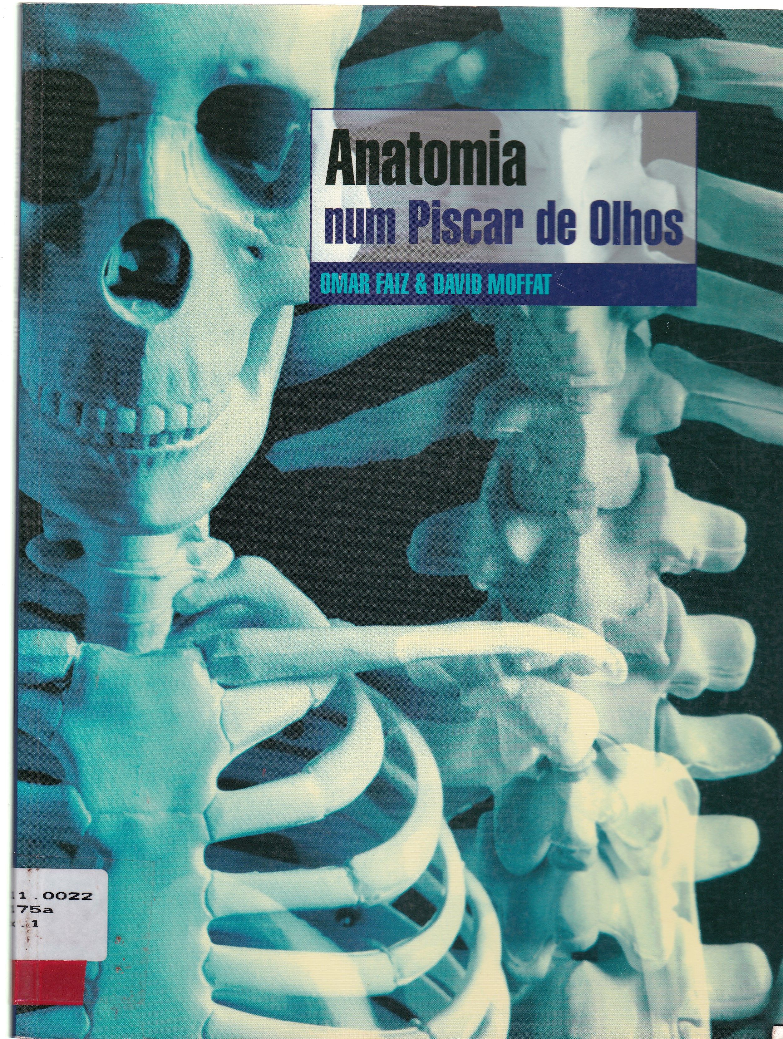 ANATOMIA: NUM PISCAR DE OLHOS