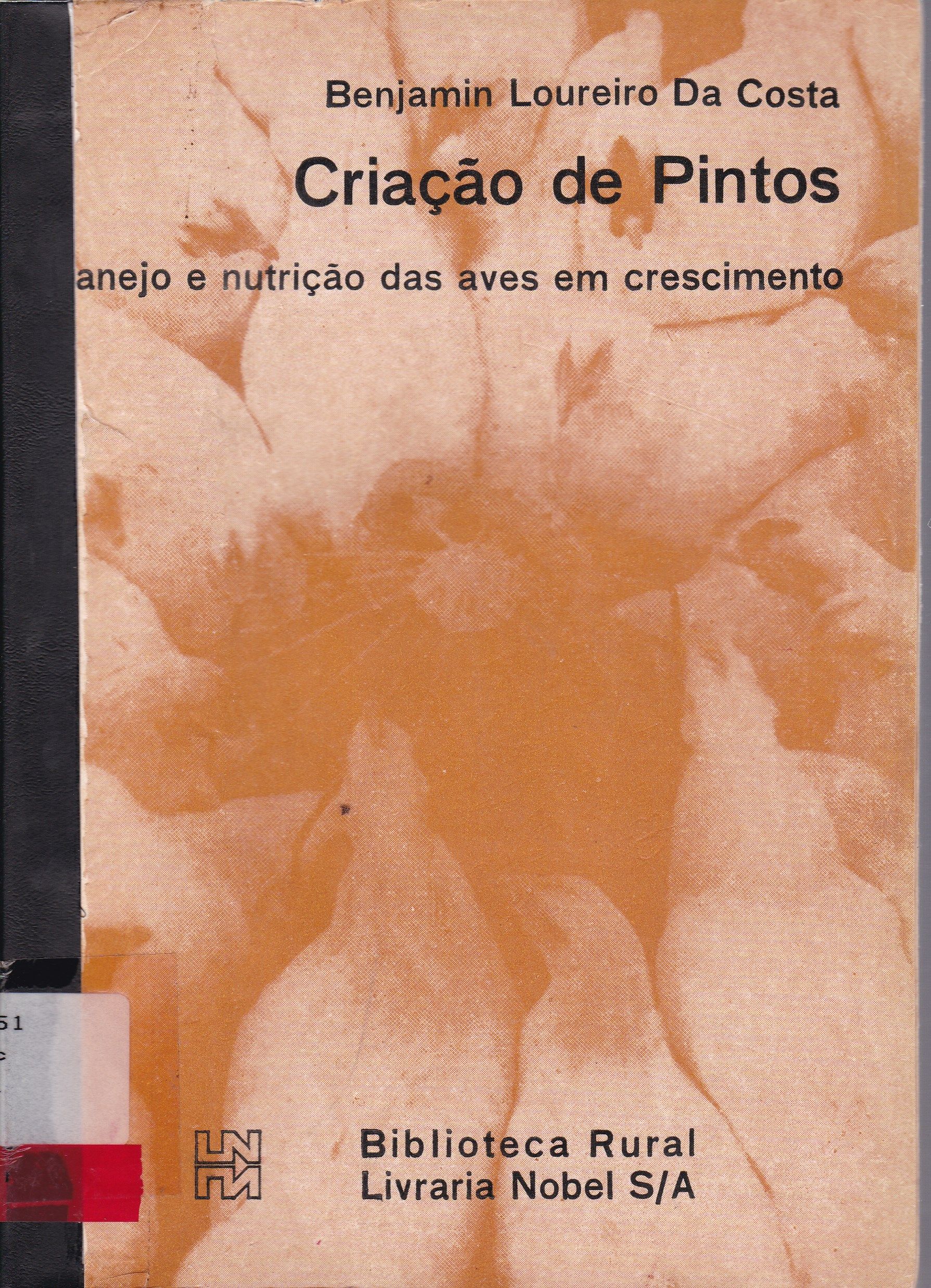 CRIAÇÃO DE PINTOS: MANEJO E NUTRIÇÃO DAS AVES EM CRESCIMENTO