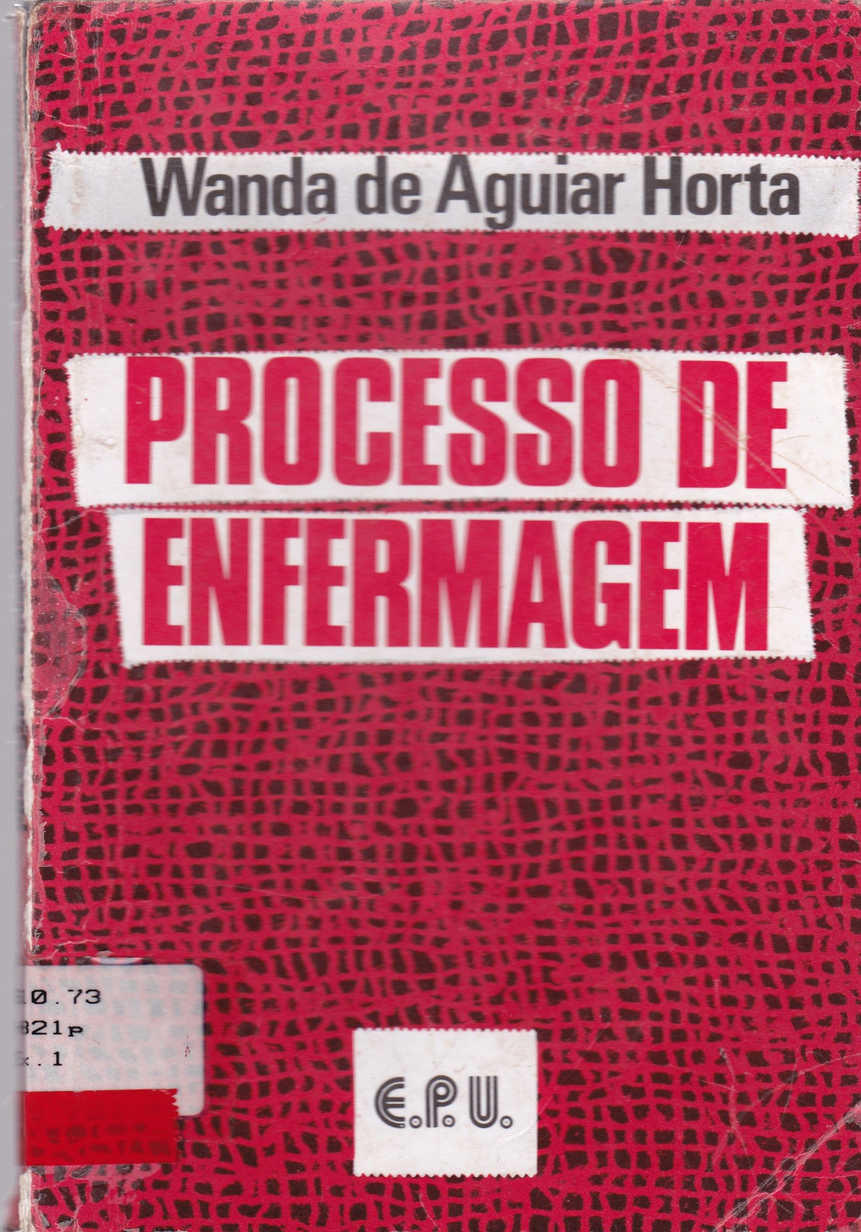 PROCESSO DE ENFERMAGEM