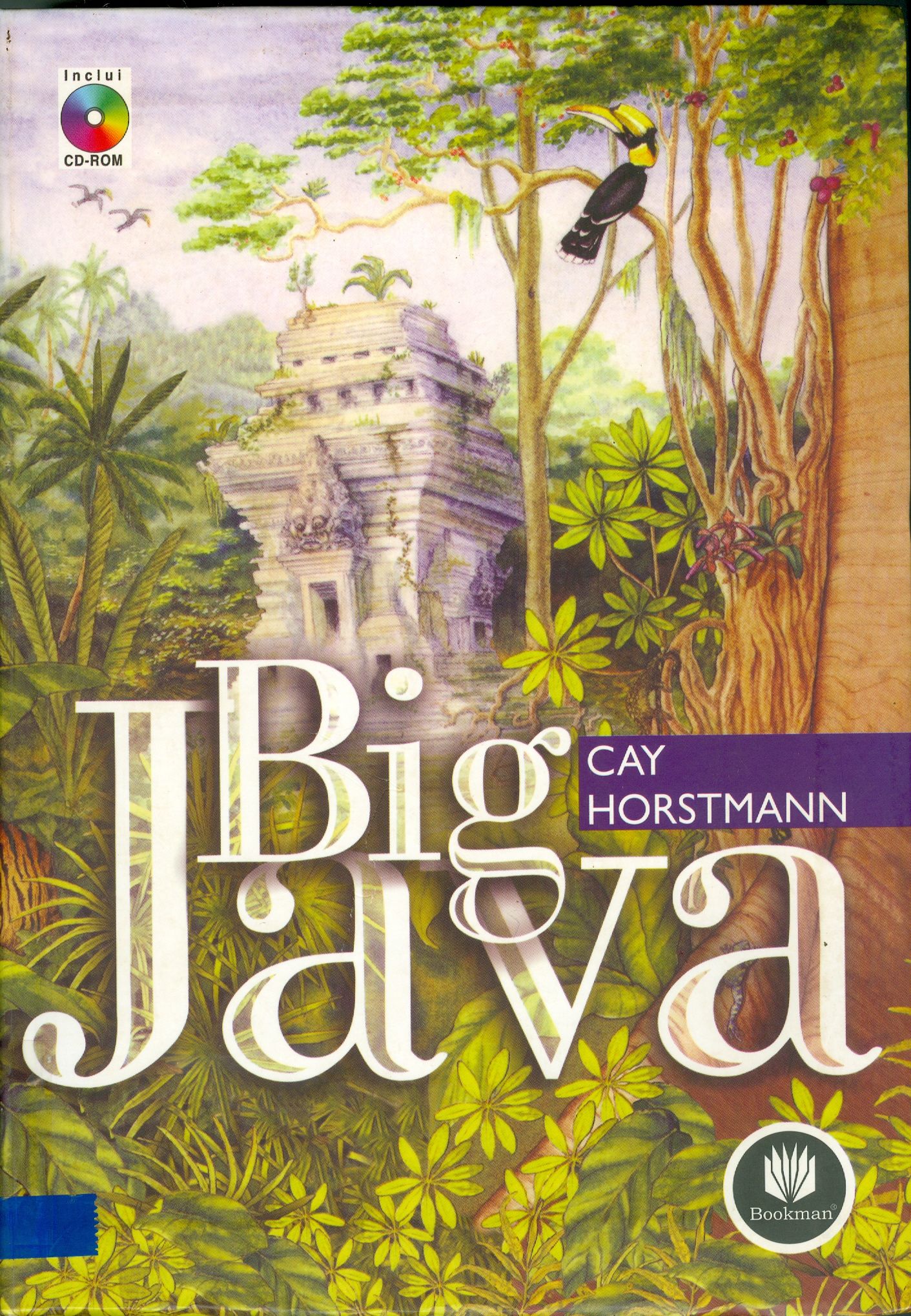BIG JAVA