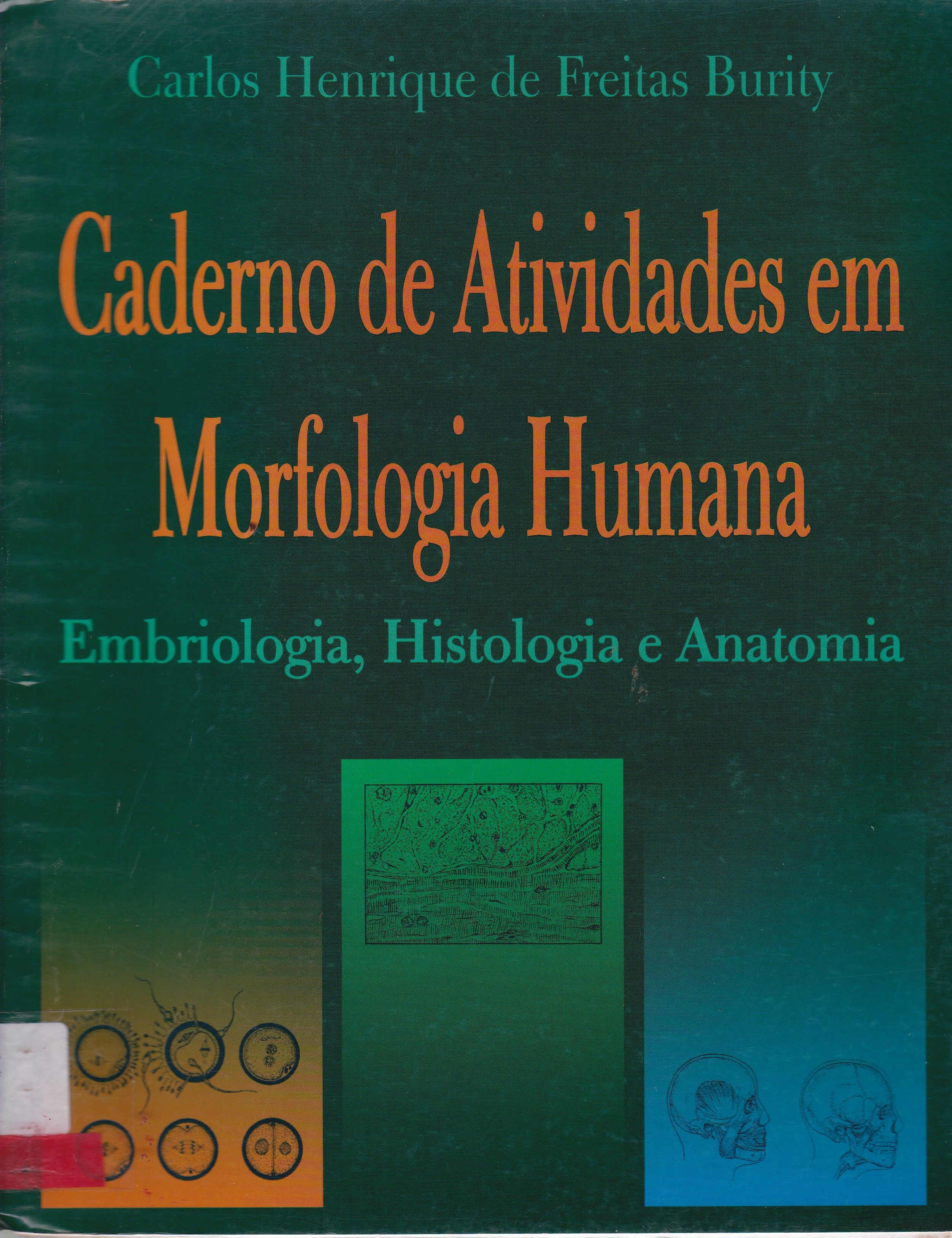 CADERNO DE ATIVIDADES EM MORFOLOGIA HUMANA: EMBRIOLOGIA, HISTOLOGIA E ANATOMIA