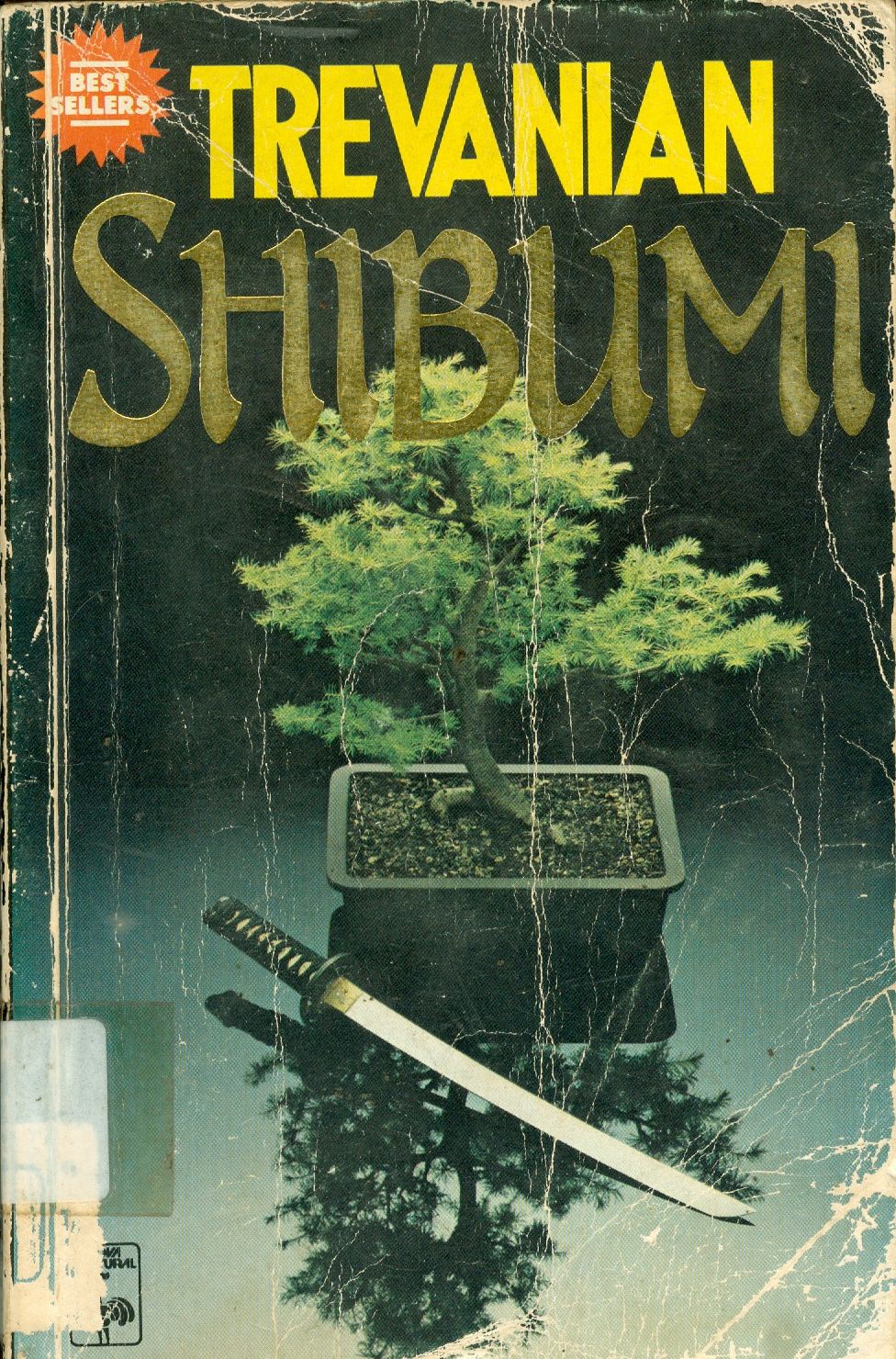 SHIBUMI