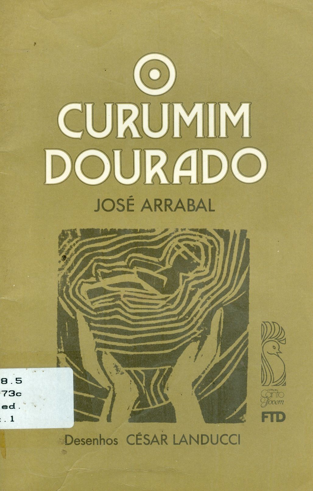 O CURUMIM DOURADO 