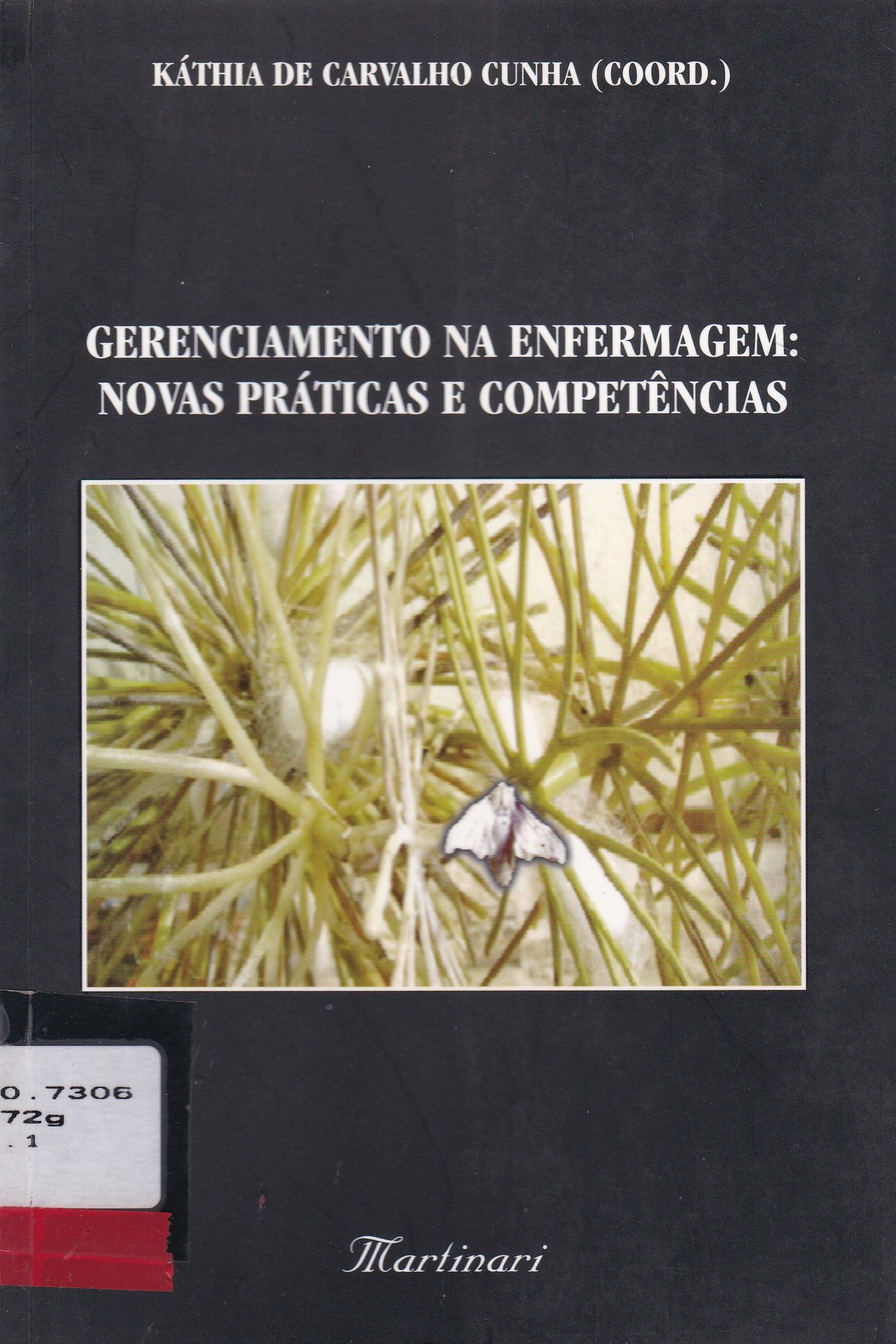 GERENCIAMENTO NA ENFERMAGEM: NOVAS PRÁTICAS E COMPETÊNCIAS