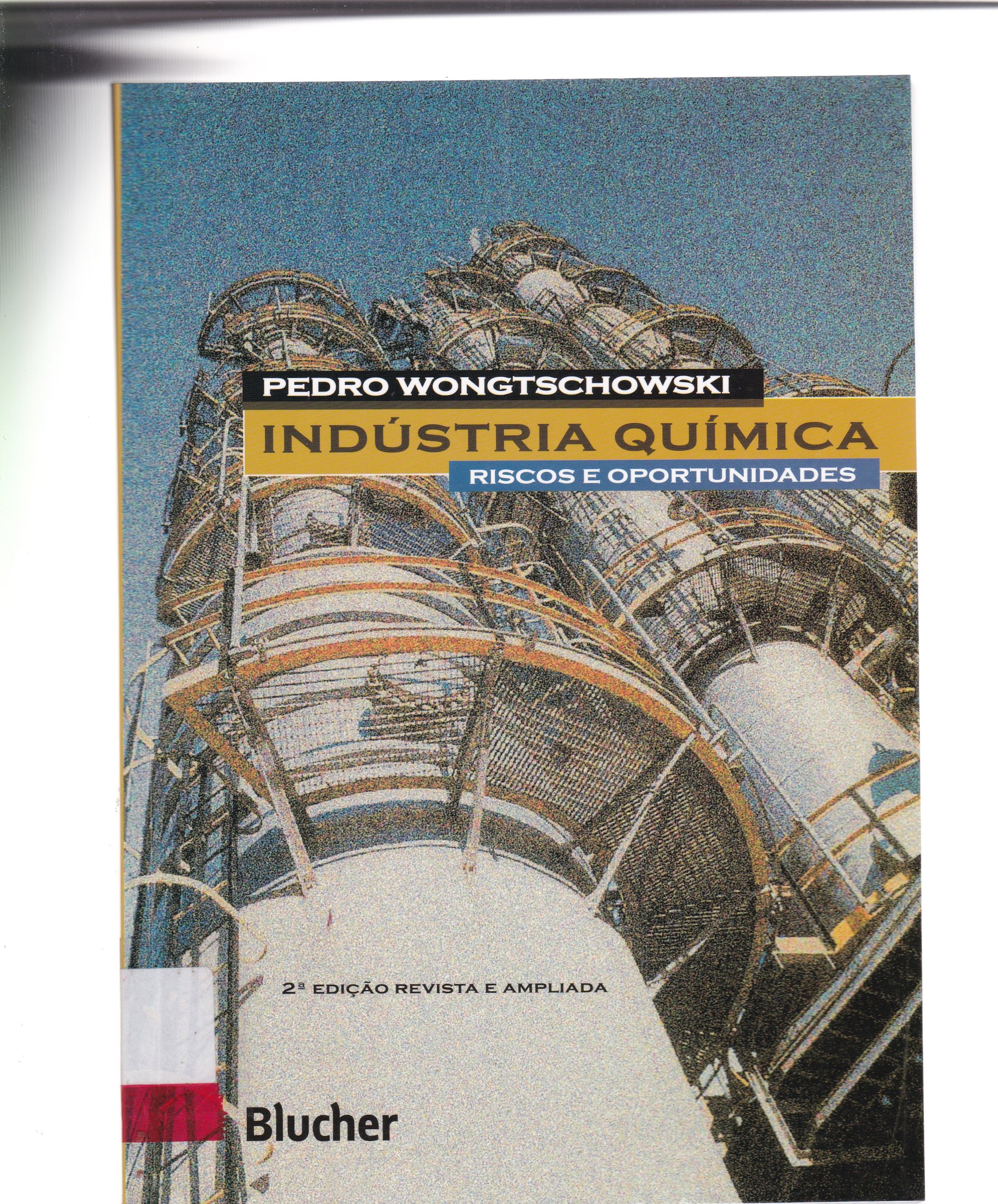 INDÚSTRIA QUÍMICA : RISCOS E OPORTUNIDADES
