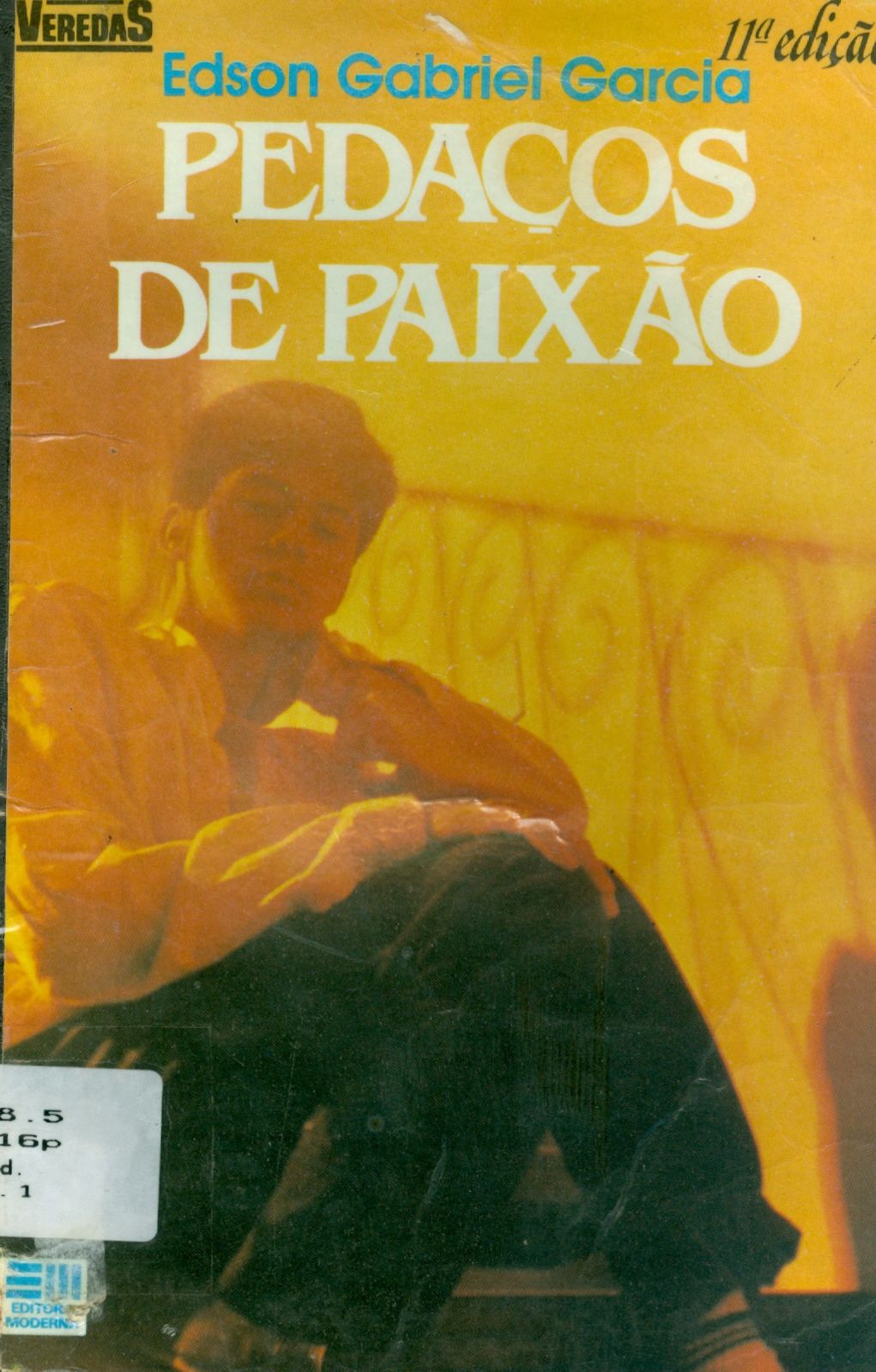 PEDAÇOS DE PAIXÃO 