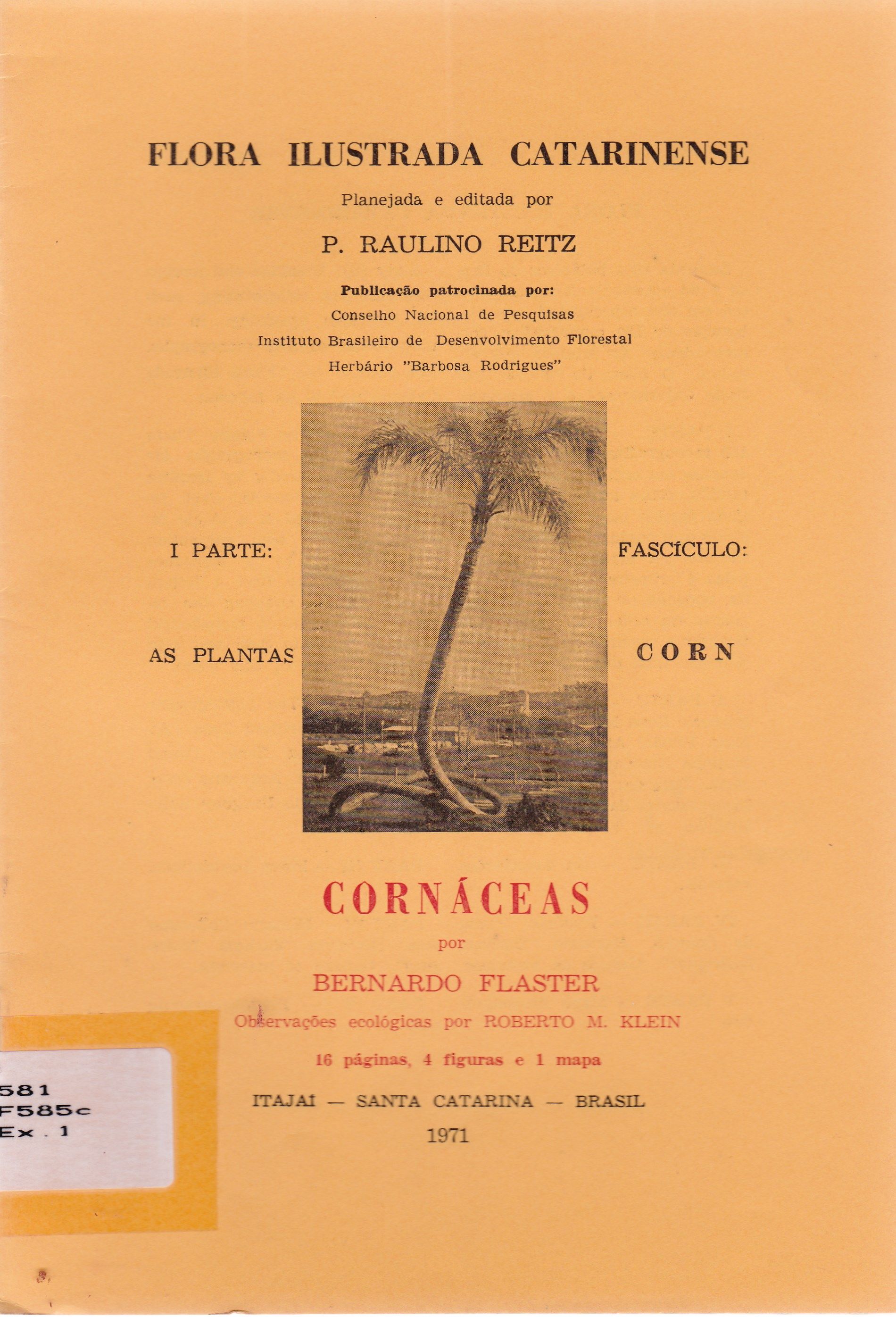 CORNÁCEAS