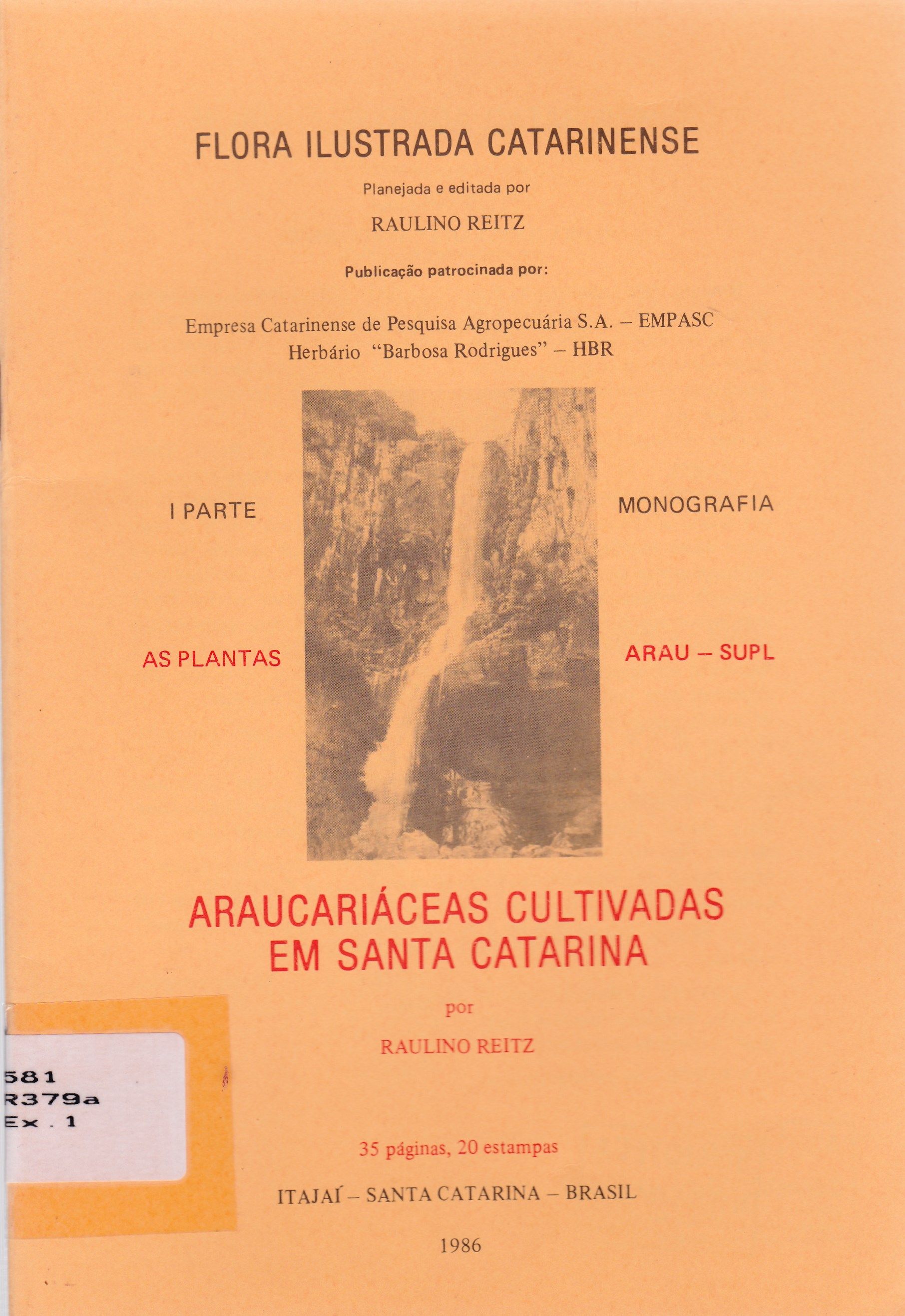 ARAUCARIÁCEAS CULTIVADAS EM SANTA CATARINA