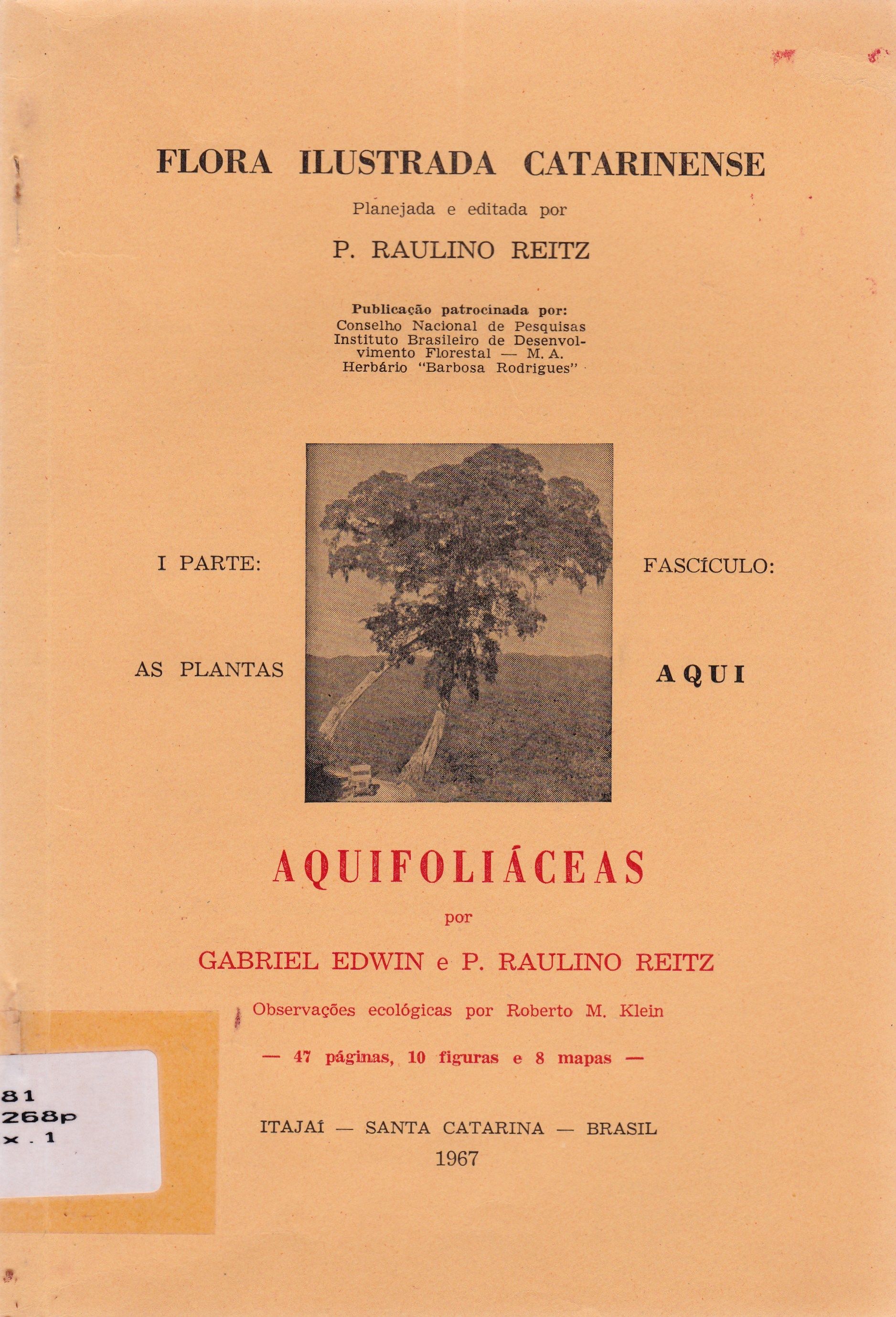 AQUIFOLIÁCEAS