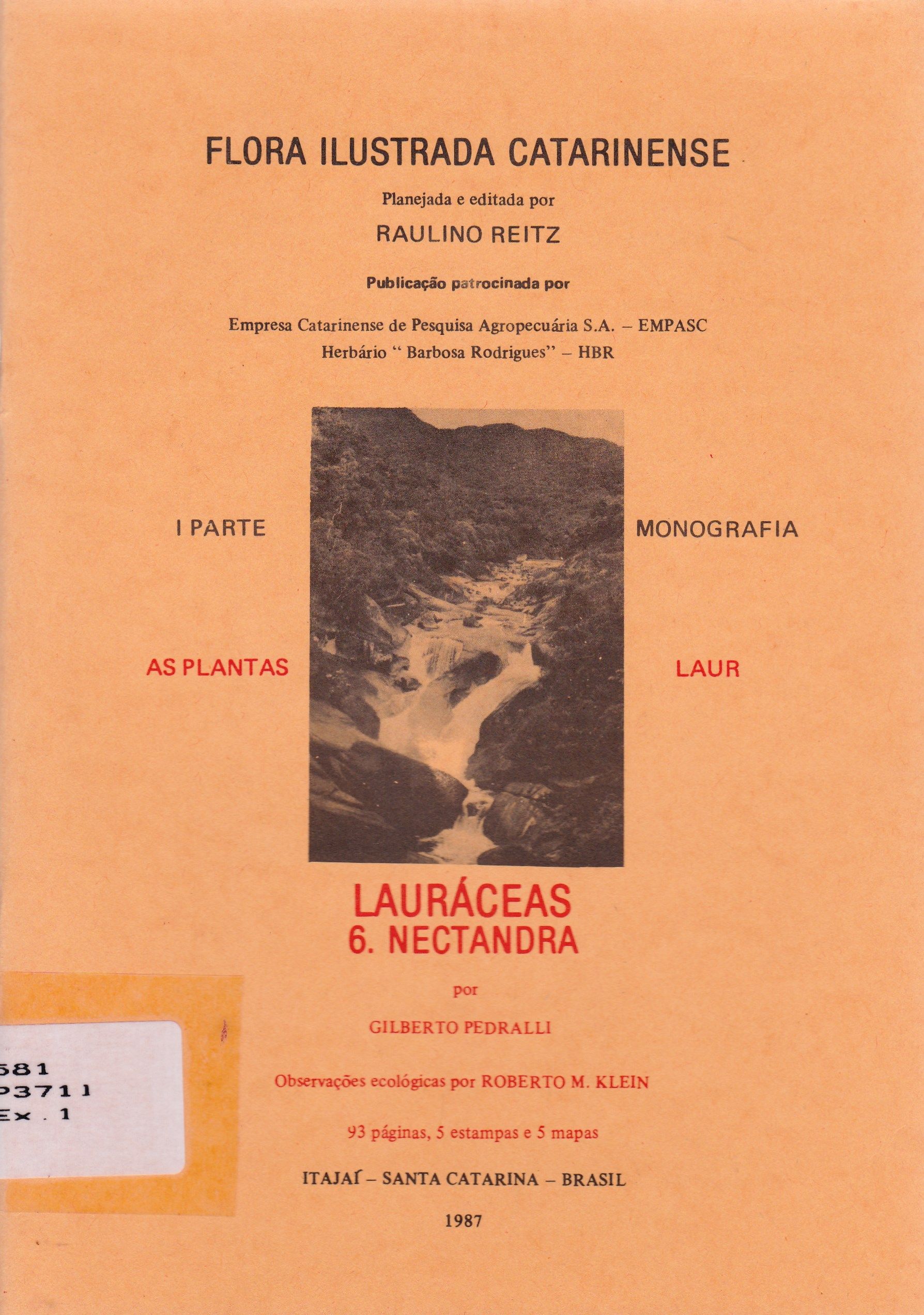 LAURÁCEAS