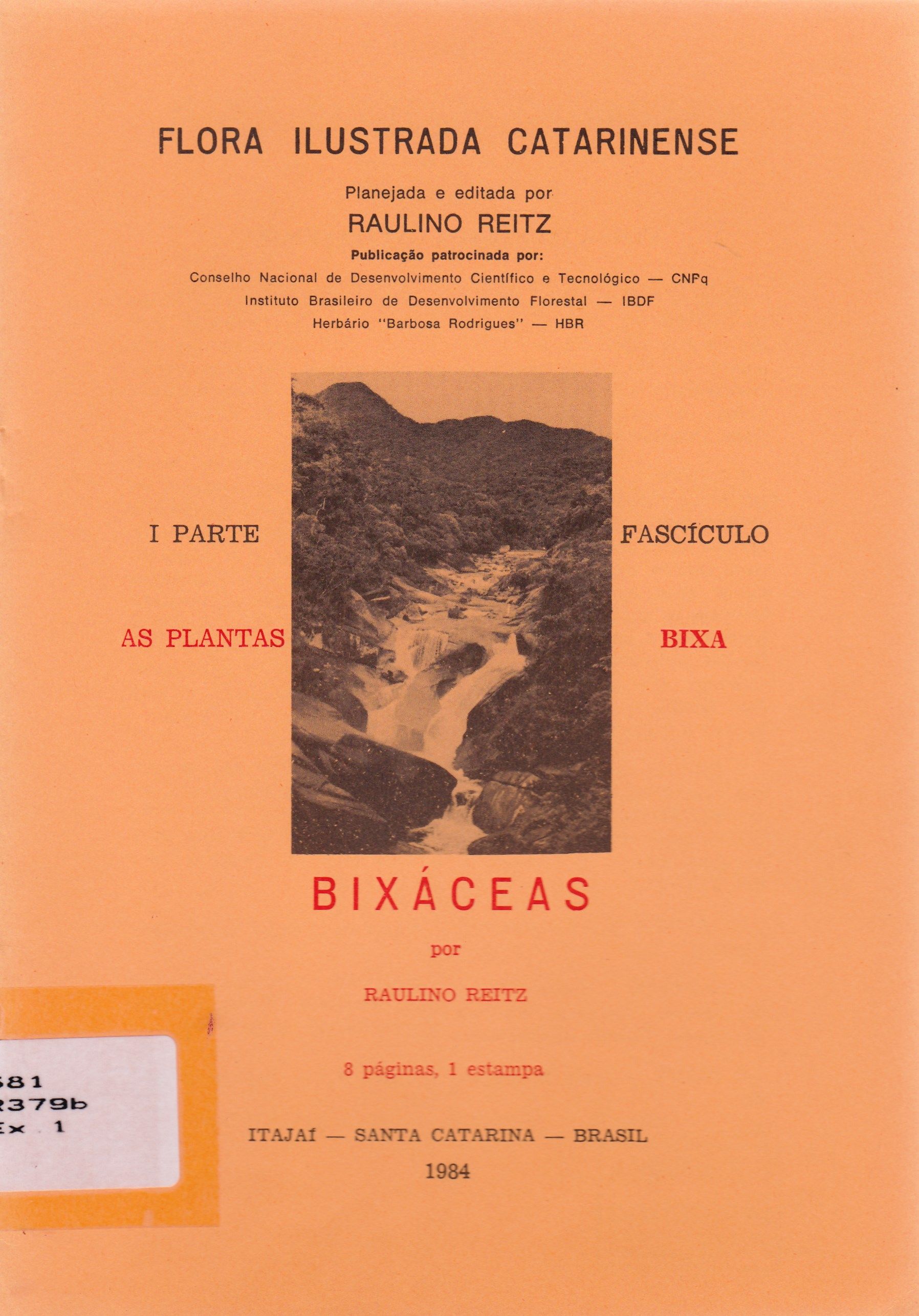BIXÁCEAS