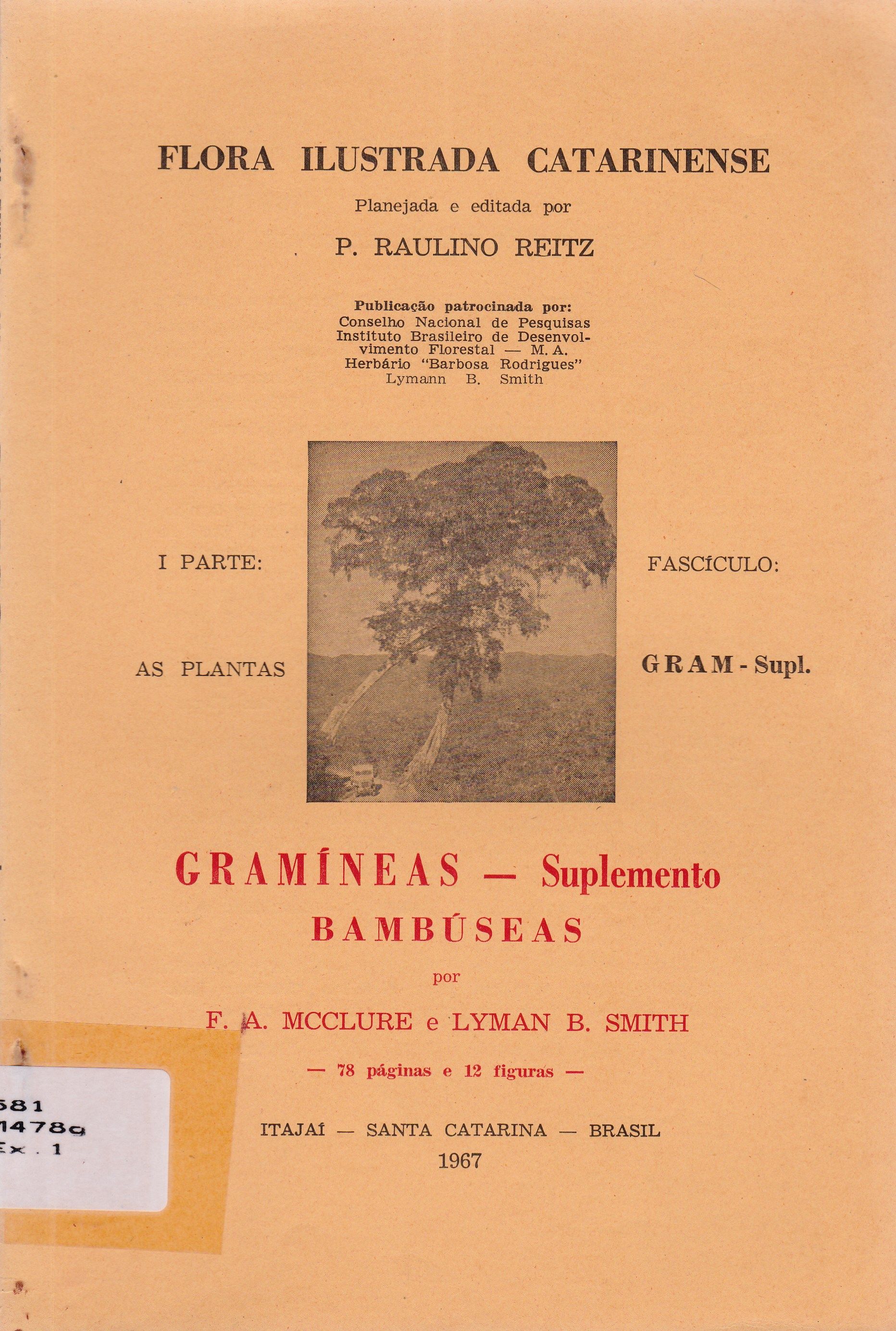 AS PLANTAS: GRAMÍNEAS - SUPLEMENTO BAMBÚSEAS