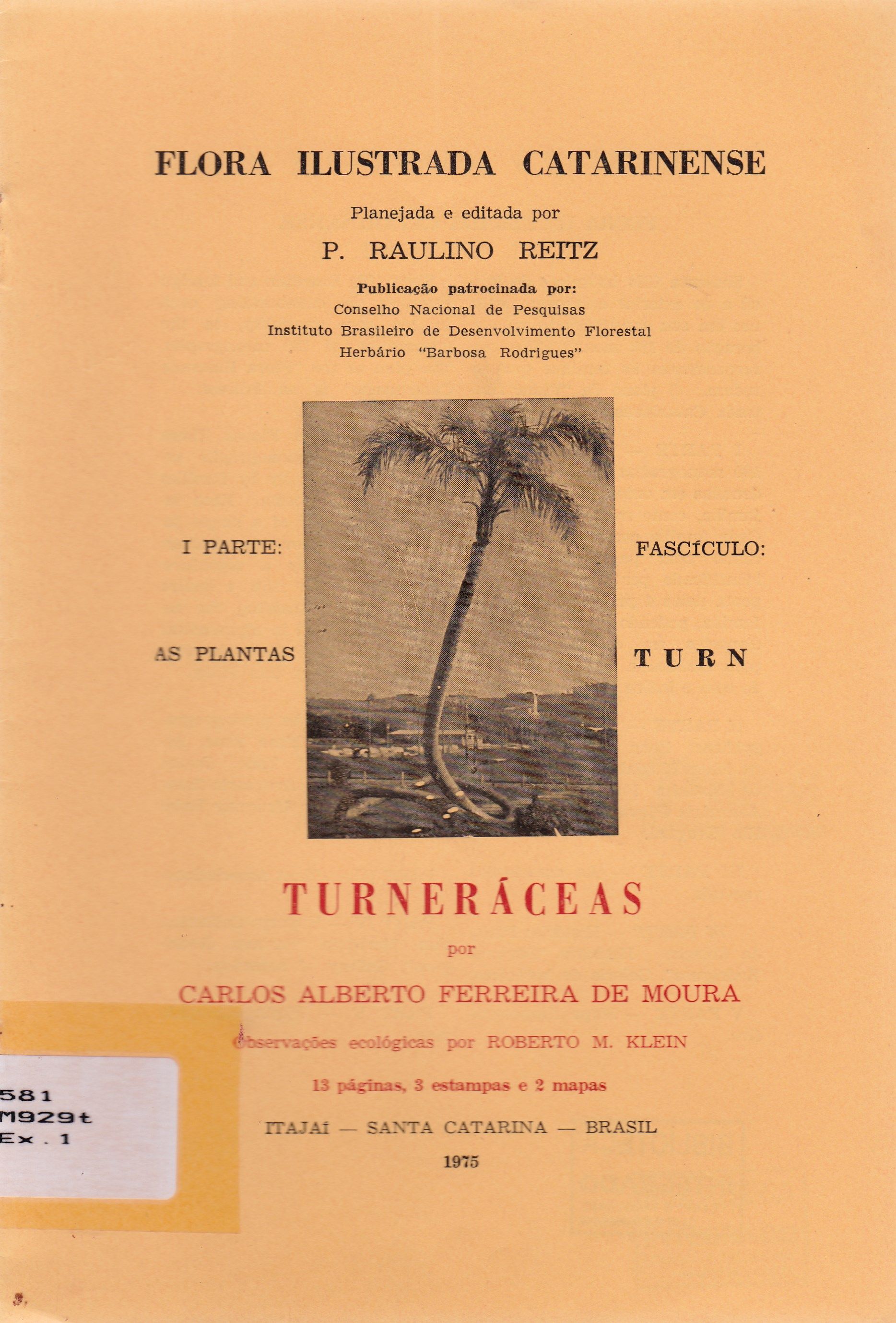 TURNERÁCEAS