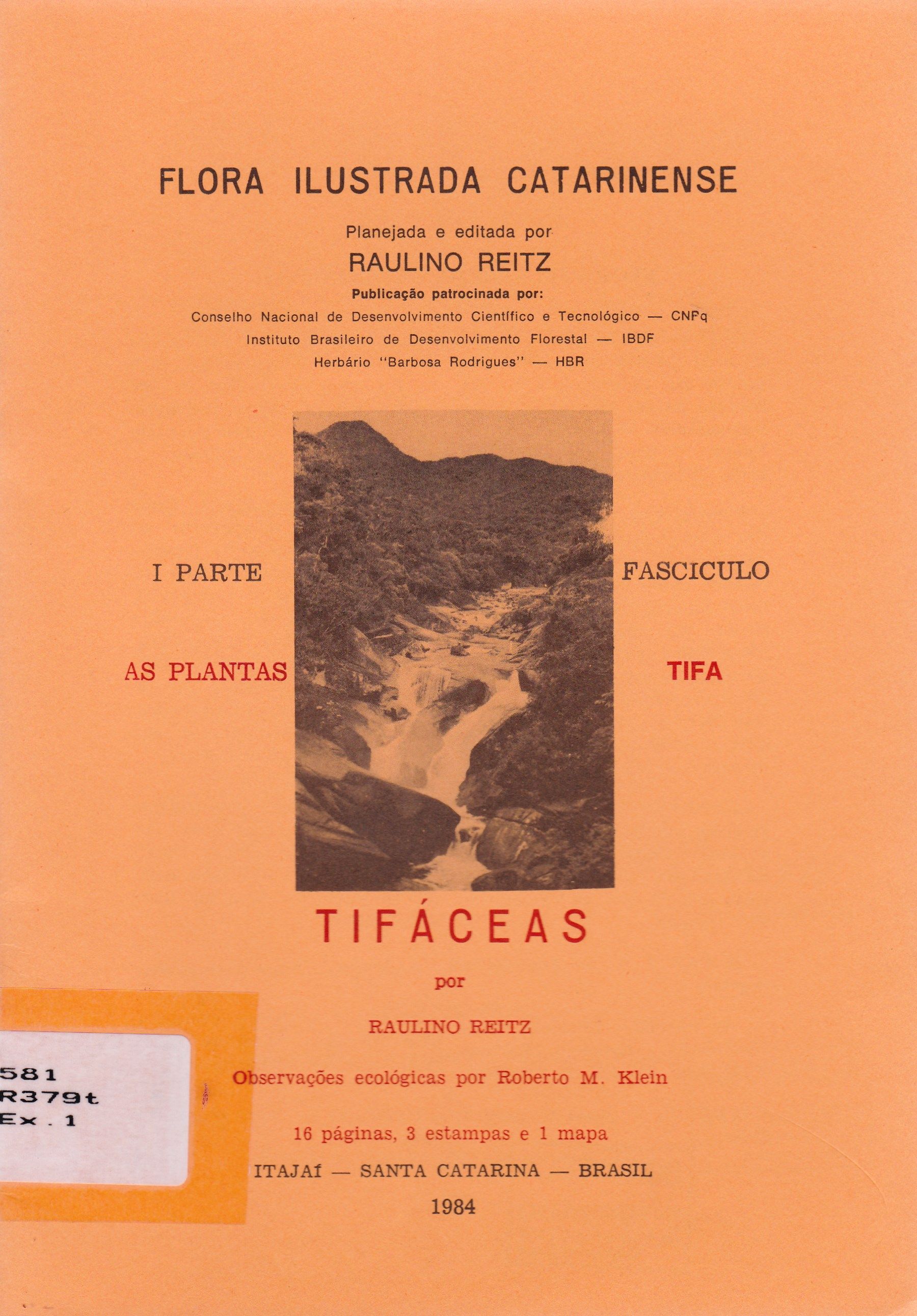 TIFÁCEAS